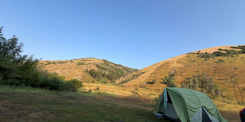 Camper submitted image from Caribou National Forest