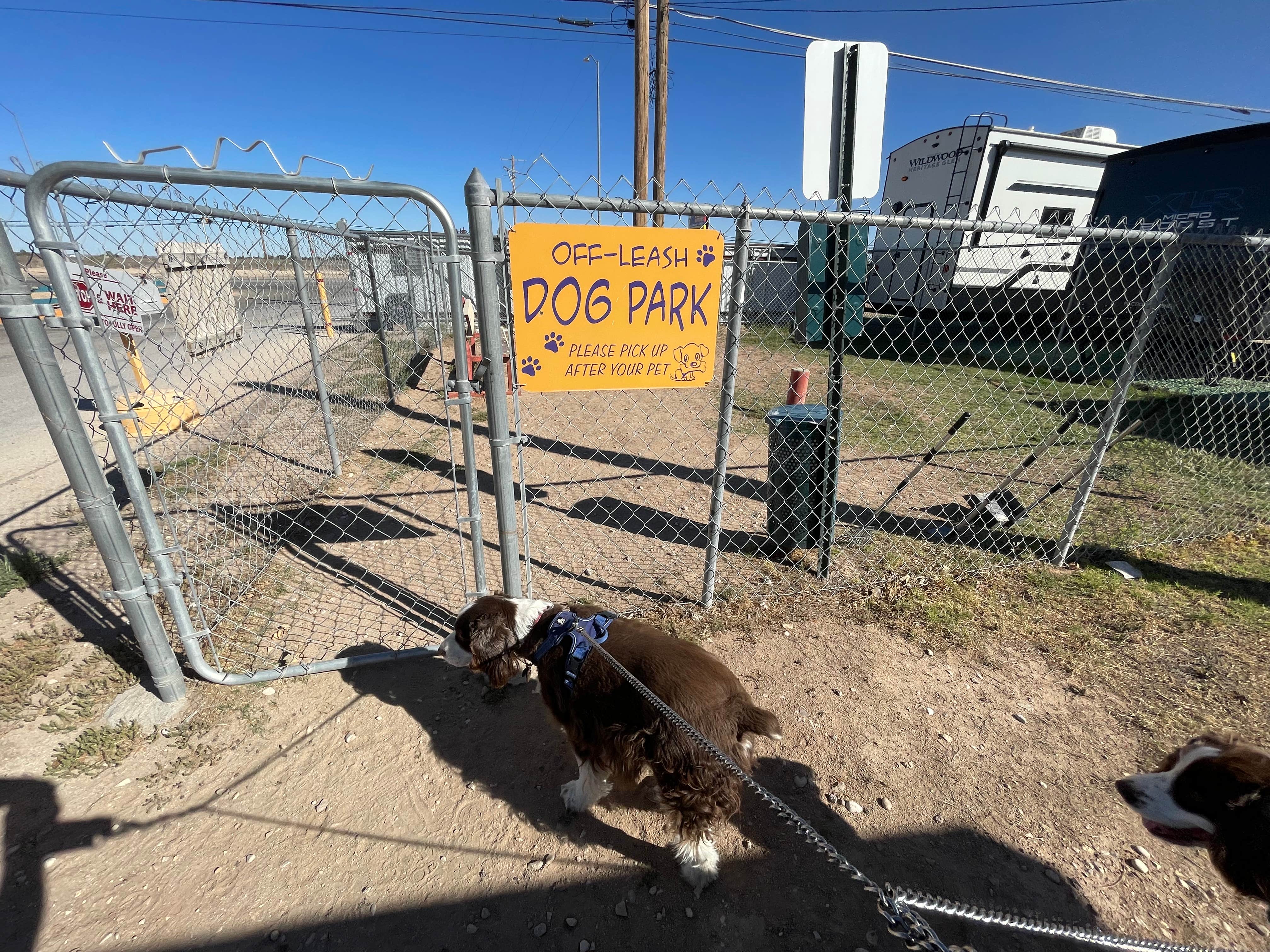 Joel R.'s photo of camping with pets at Carlsbad RV Park & Campground near Carlsbad, NM