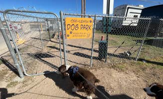 Joel R.'s photo of camping with pets at Carlsbad RV Park & Campground near Artesia, NM