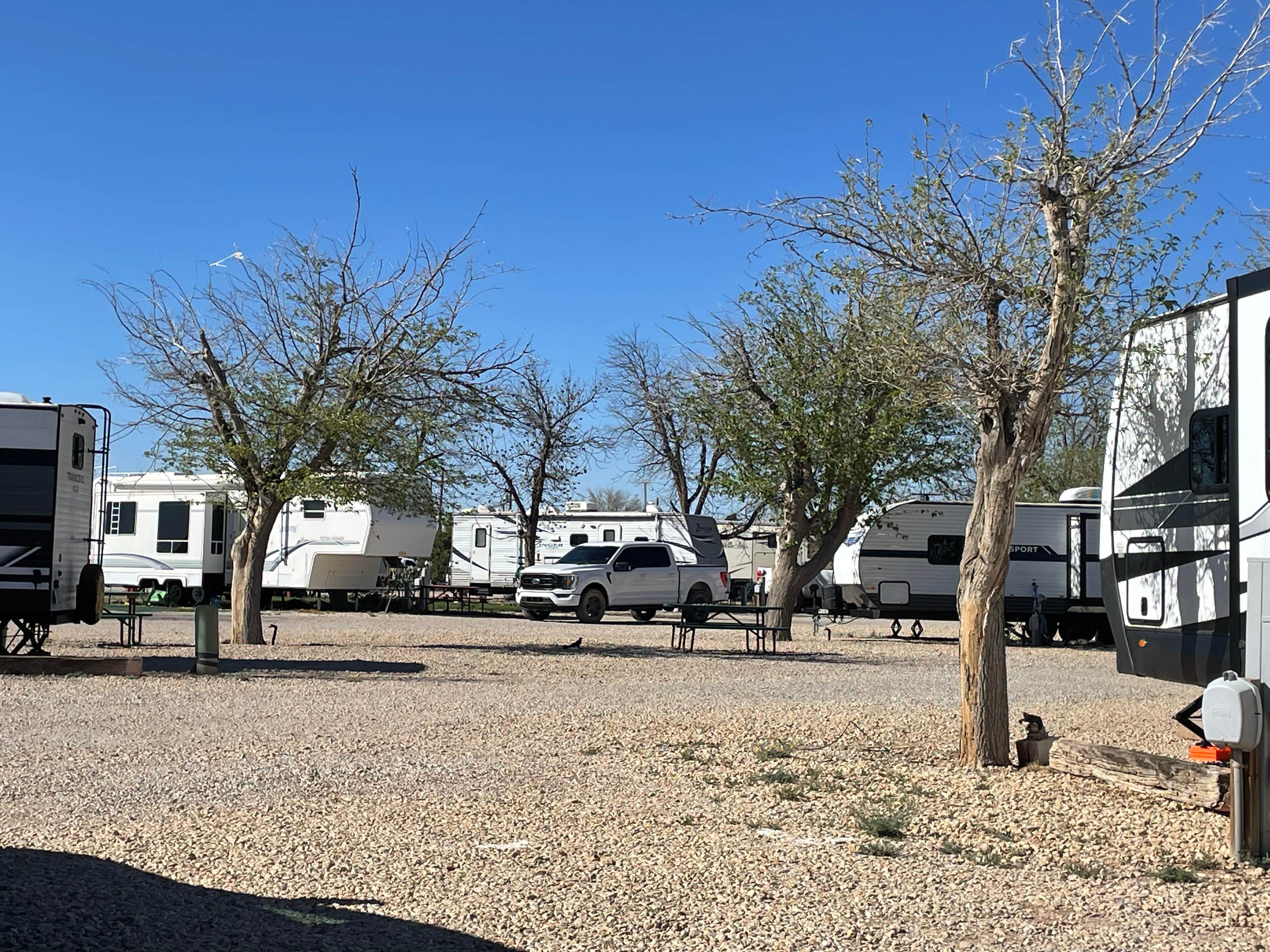 Camper-submitted photo at Carlsbad RV Park & Campground near Artesia, NM