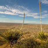 Review photo of Carlsbad Caverns Dispersed by Lexi W., February 8, 2024