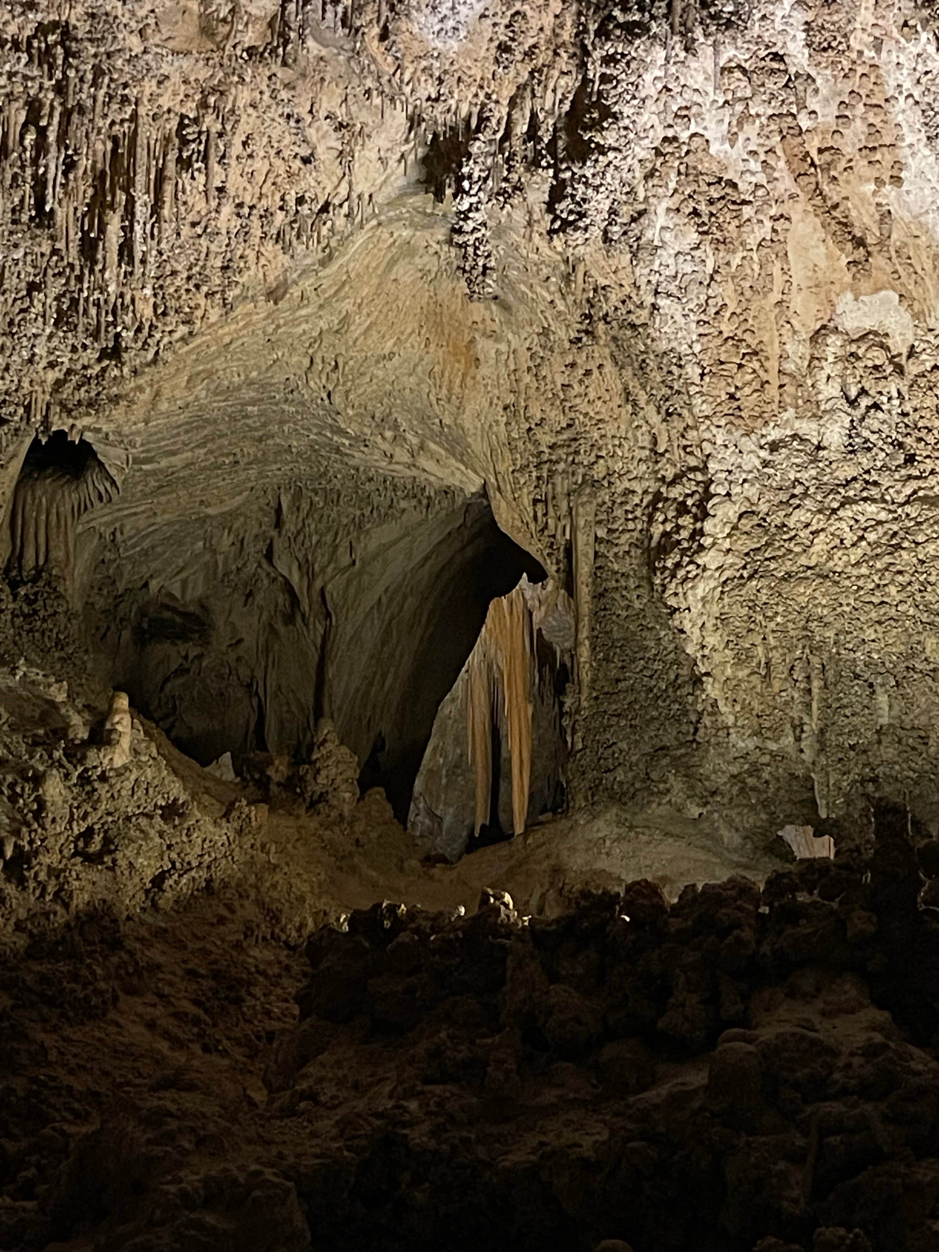 Camper-submitted photo at Carlsbad Caverns Dispersed near Whites City, NM