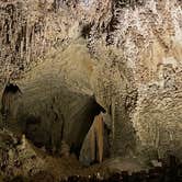 Review photo of Carlsbad Caverns Dispersed by Lexi W., February 8, 2024