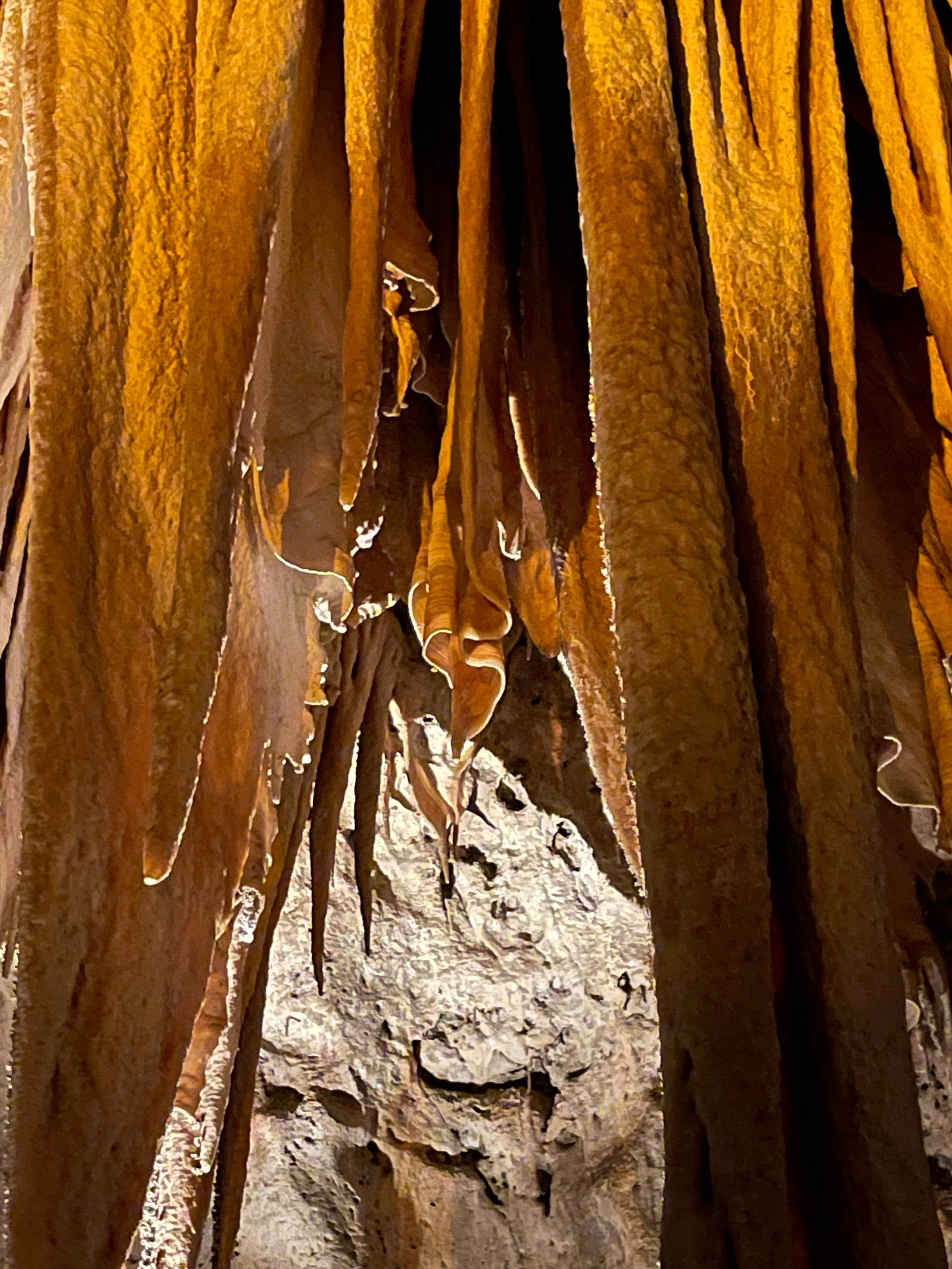 Camper submitted image from Carlsbad Caverns Dispersed - 4