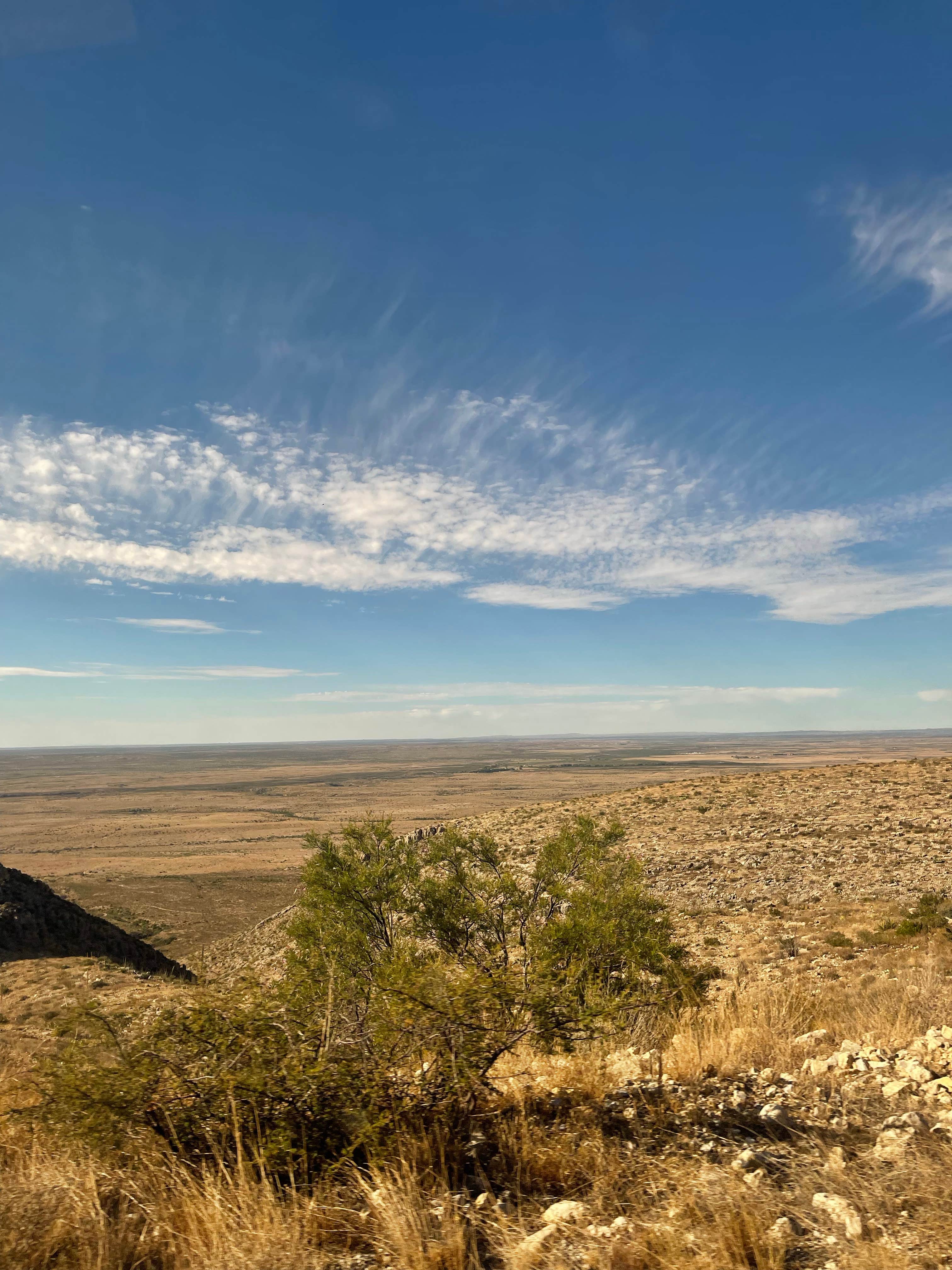 Camper-submitted photo at Carlsbad Caverns Dispersed near Whites City, NM