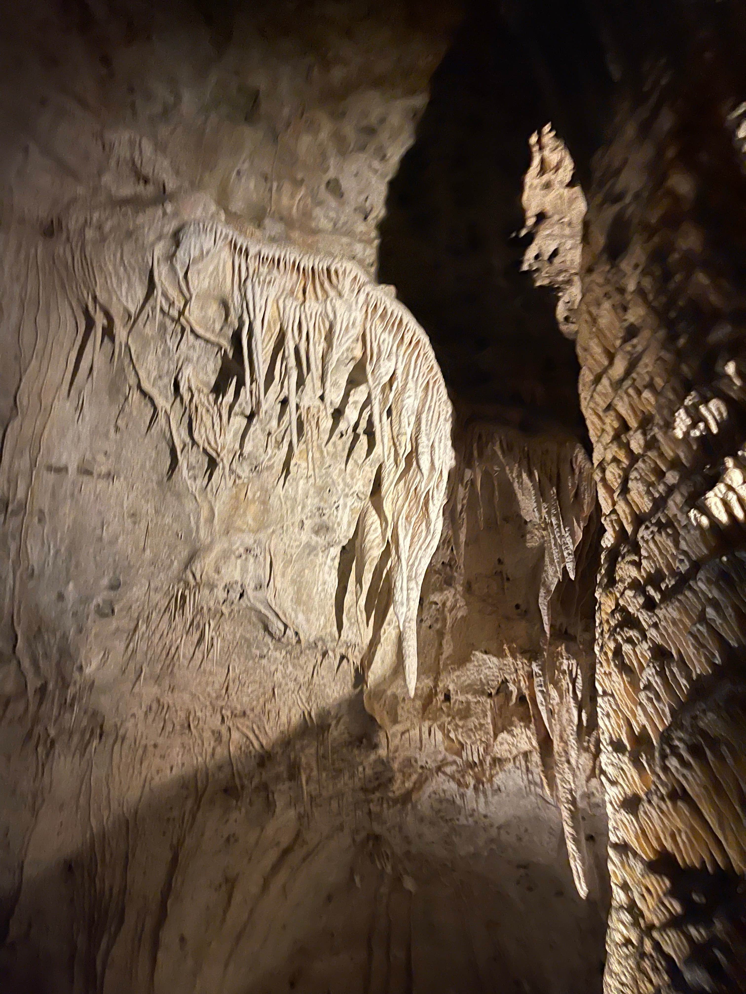 Camper-submitted photo at Carlsbad Caverns Dispersed near Whites City, NM
