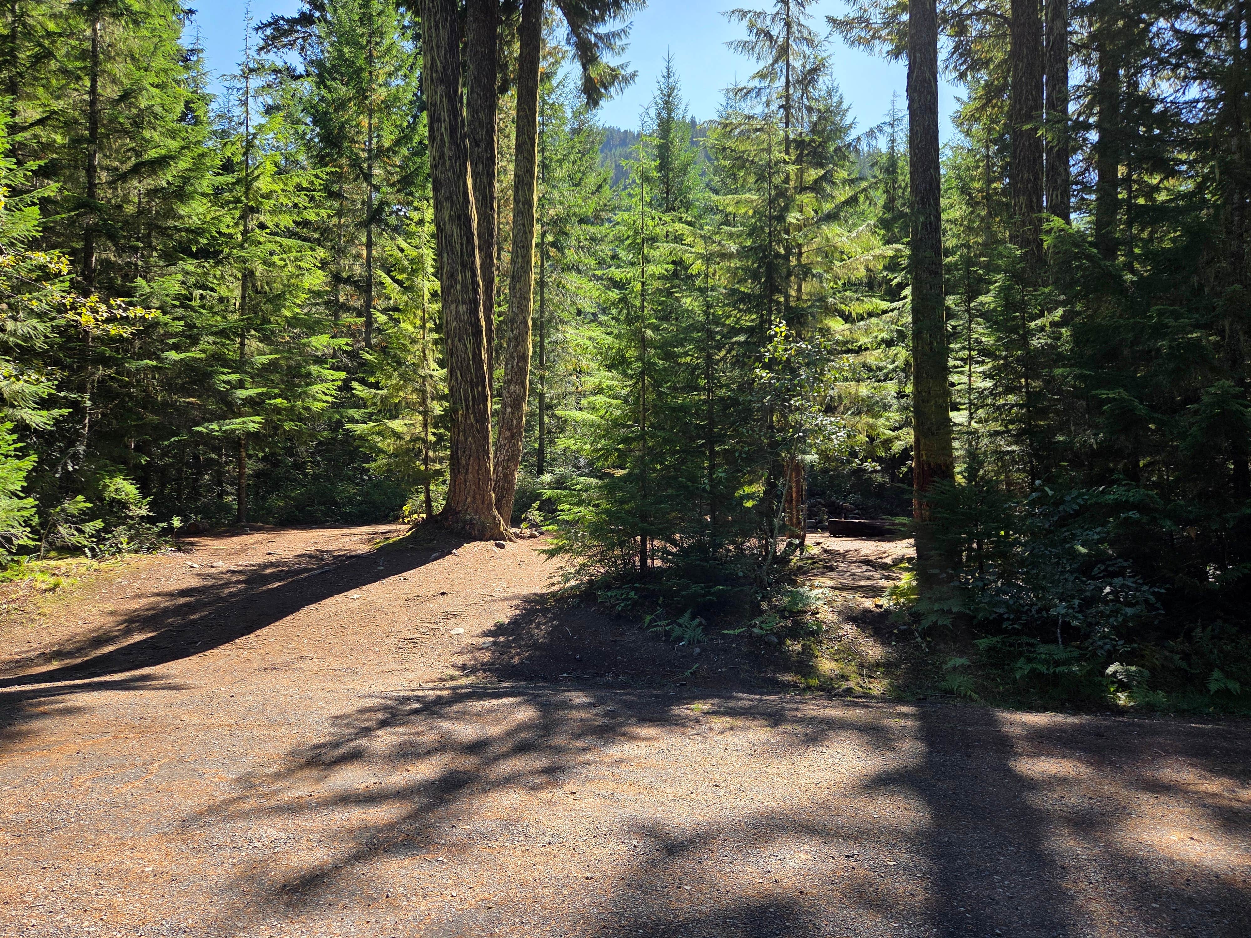 Carlton Creek Crossing