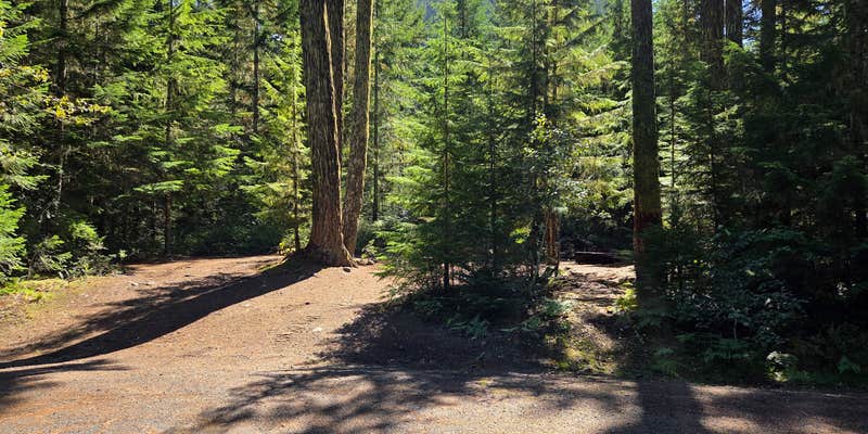 Camper submitted image from Carlton Creek Crossing
