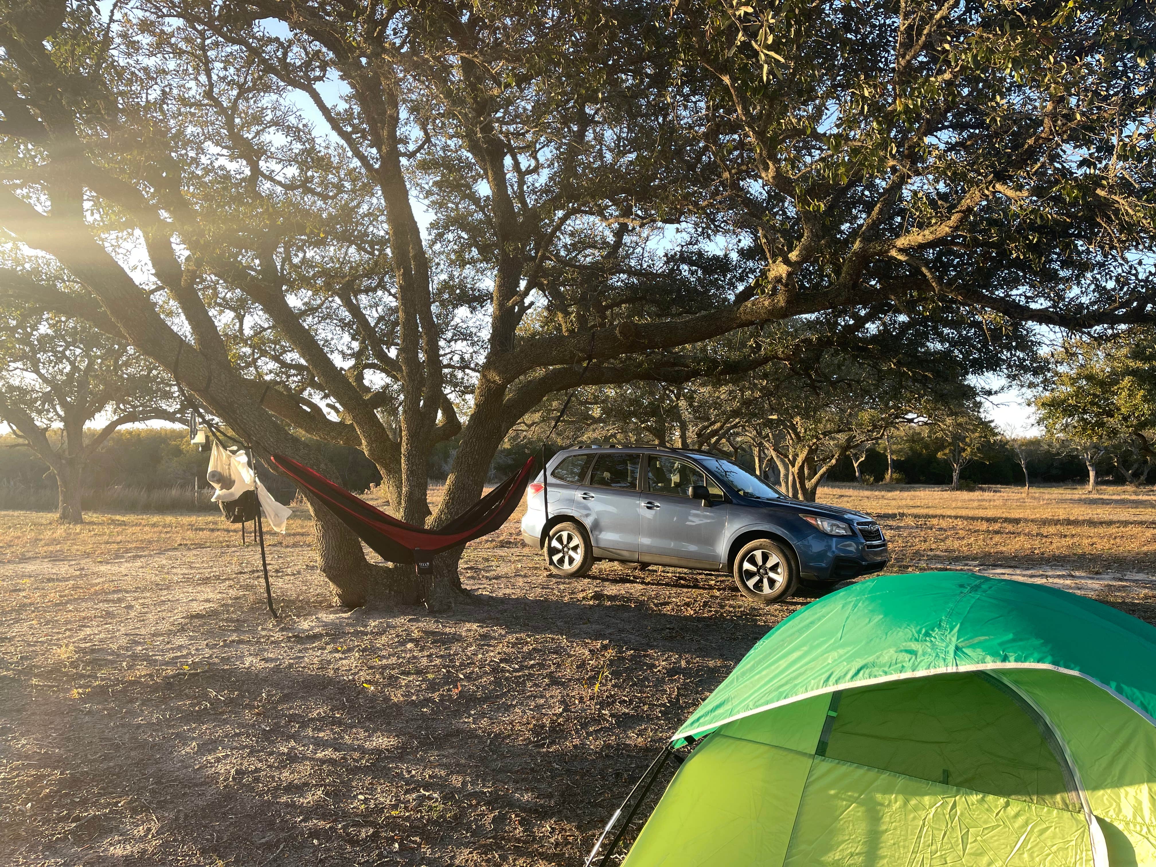 Taylor P.'s photo at Carova sands near Knotts Island, NC