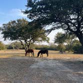 Review photo of Carova sands by Taylor P., March 17, 2024