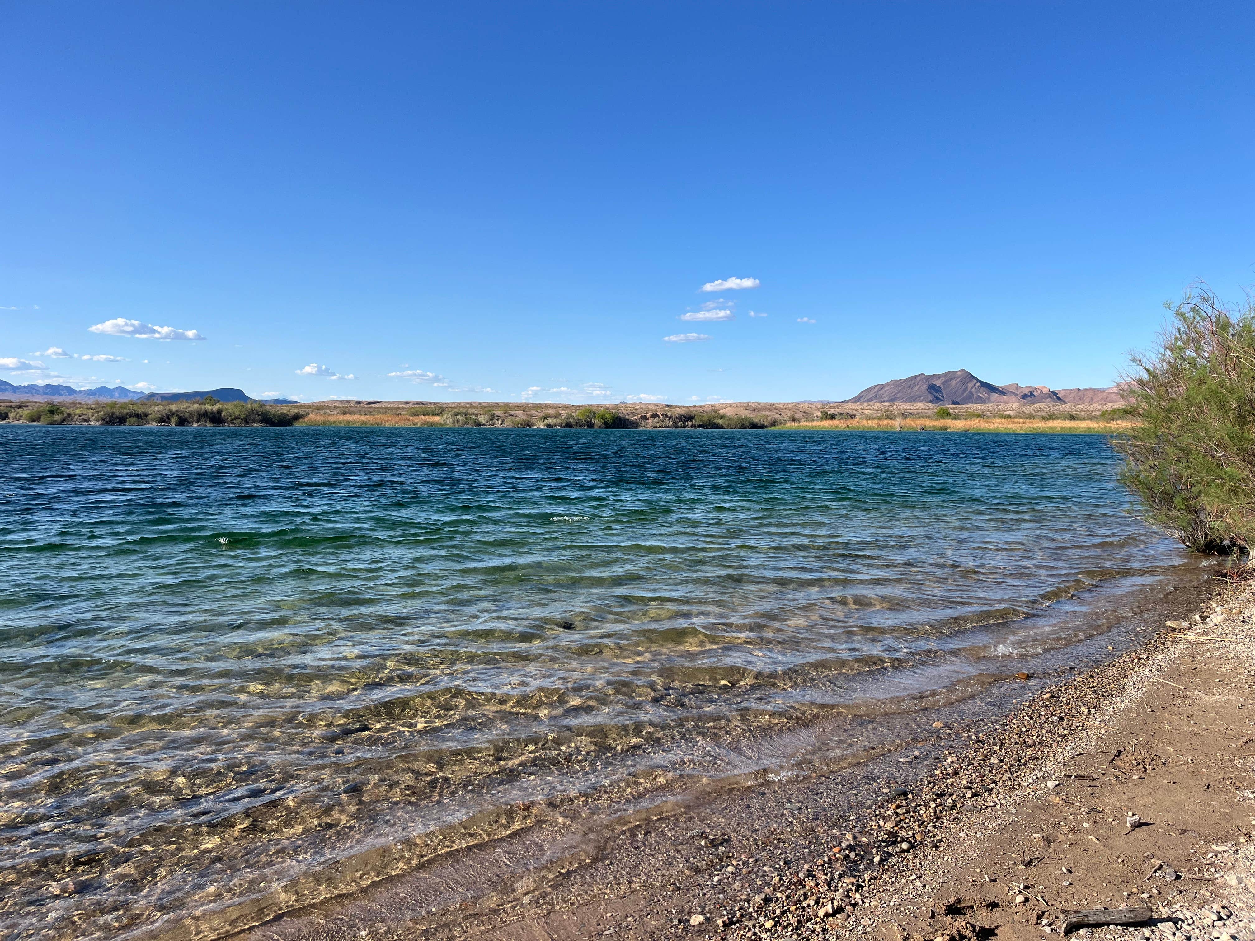Camper-submitted photo at Carp Cove — Lake Mead National Recreation Area near Searchlight, NV