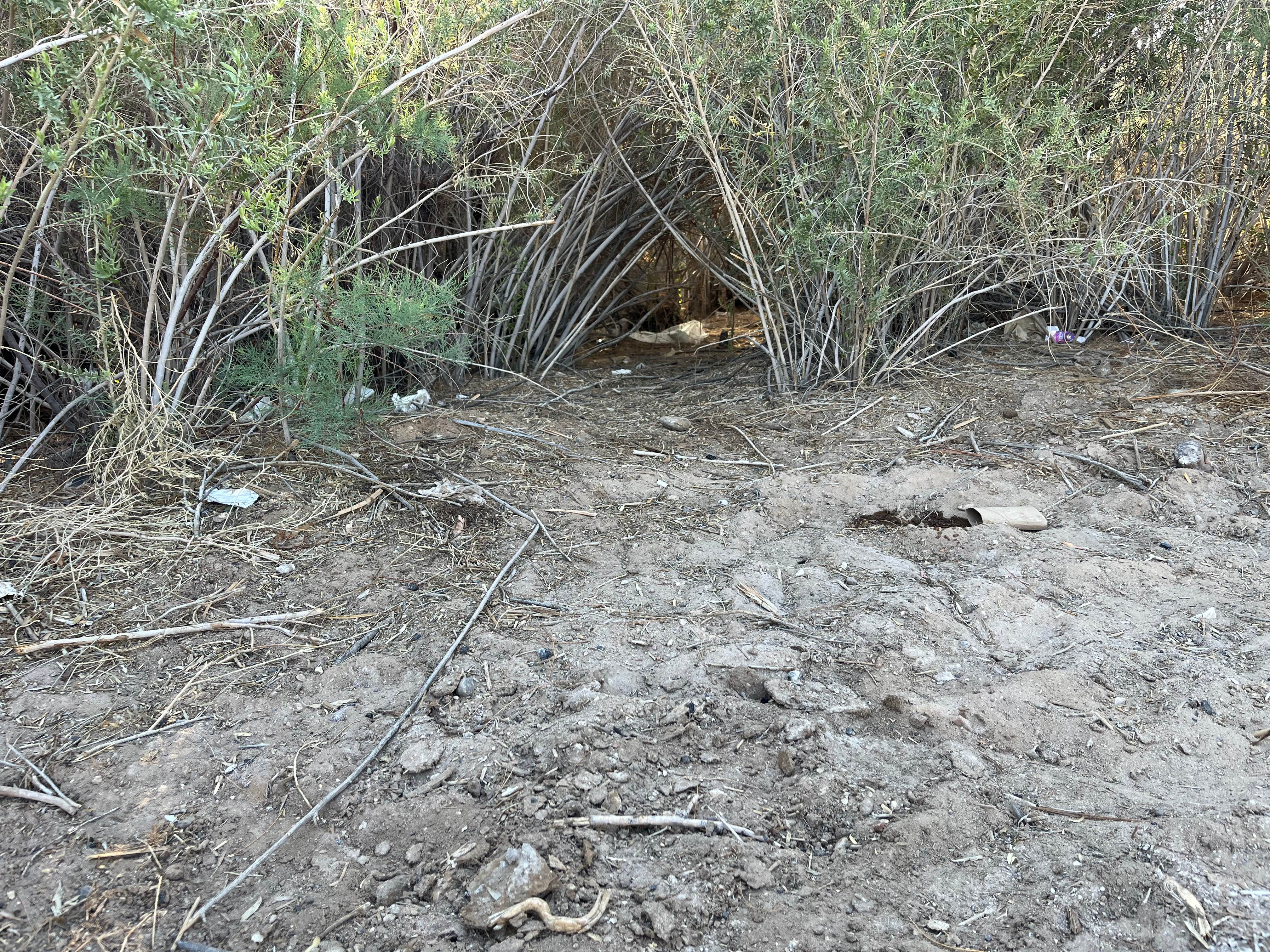 Camping near Lake Mohave - Nevada Telephone Cove — Lake Mead National Recreation Area: Carp Cove — Lake Mead National Recreation Area, Searchlight, Arizona