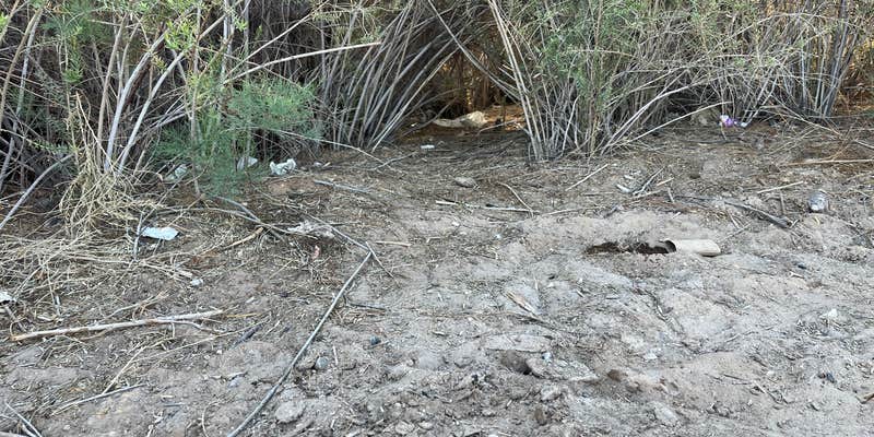 Camper submitted image from Carp Cove — Lake Mead National Recreation Area