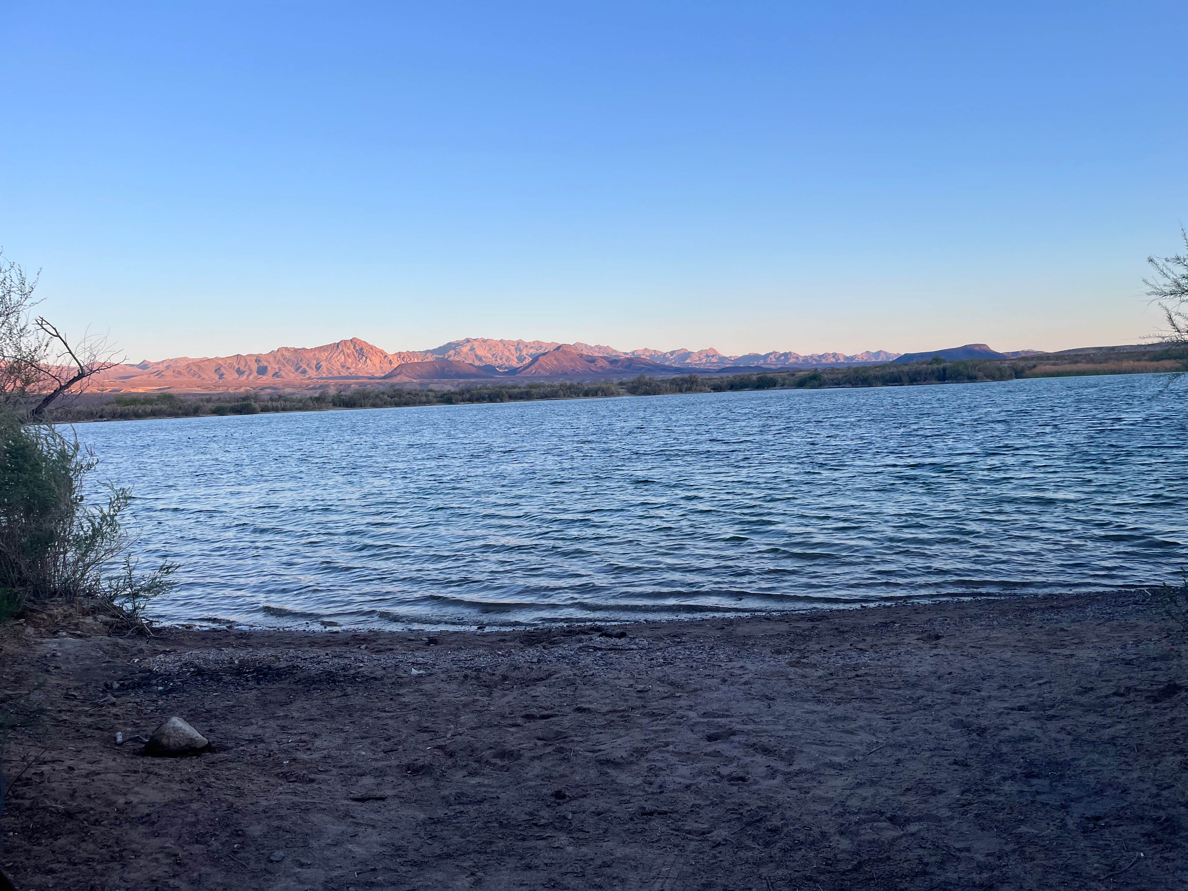 Mara S.'s photo of a dispersed camping area at Carp Cove — Lake Mead National Recreation Area near Laughlin, NV