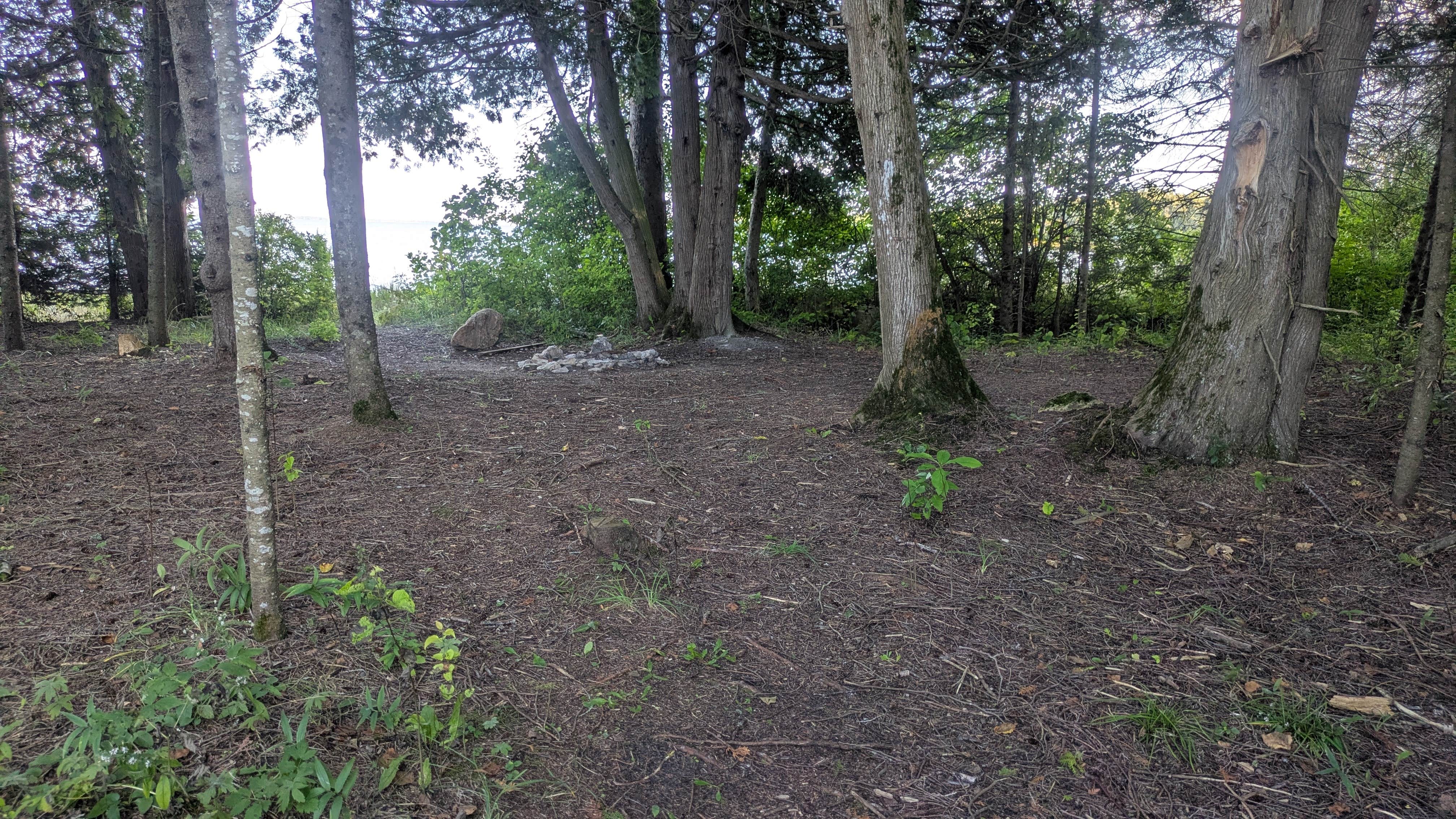 Camper-submitted photo at Carp River Boat Launch near Rudyard, MI