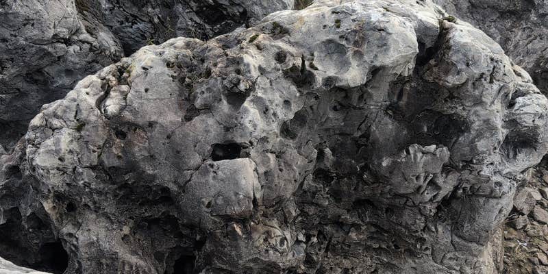 Camper submitted image from Carp River Boat Launch