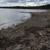 Review photo of Carp River Boat Launch by Rick M., September 27, 2025