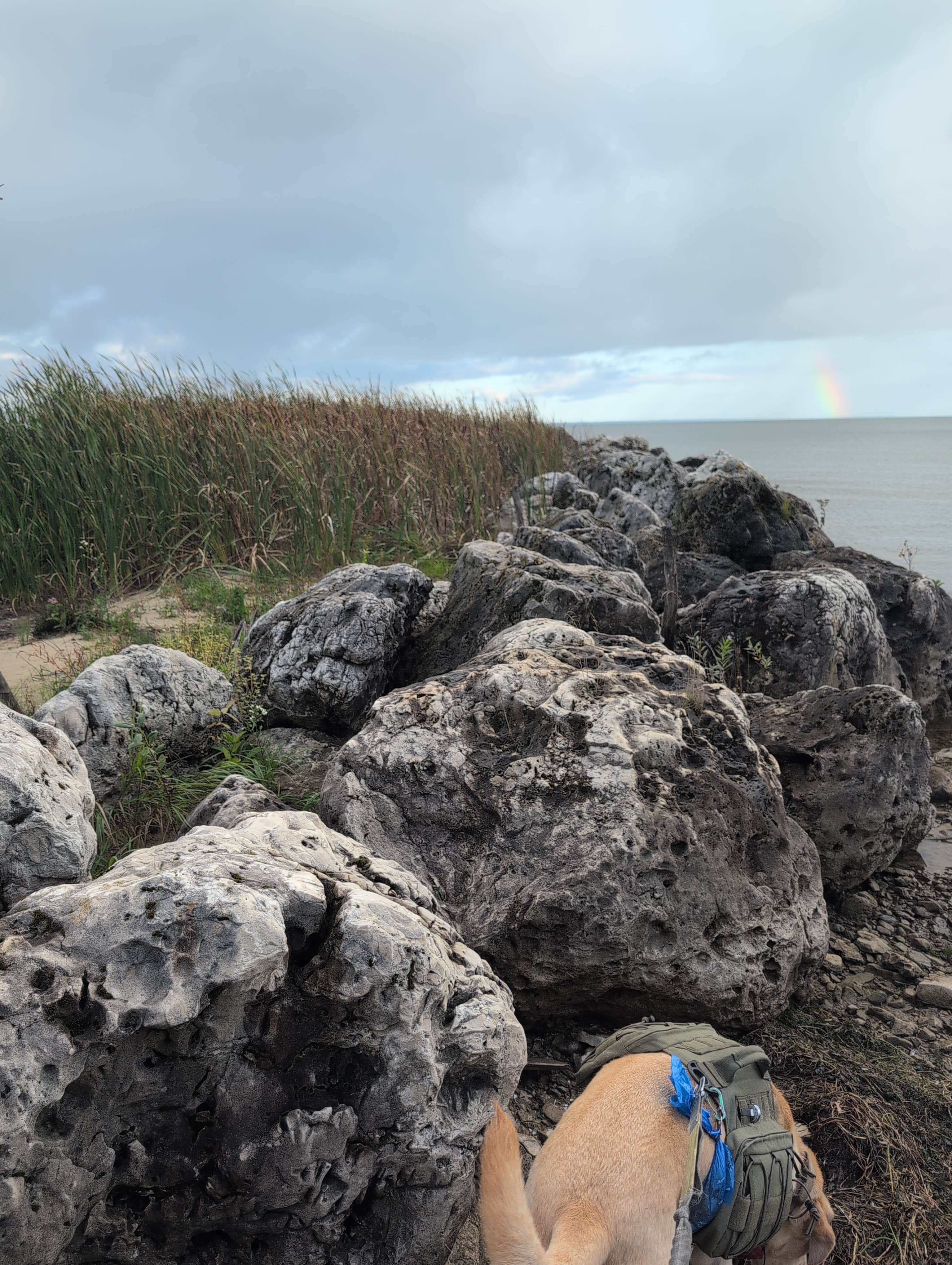 Camper-submitted photo at Carp River Boat Launch near Rudyard, MI