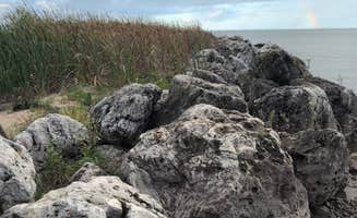Rick M.'s photo of camping with pets at Carp River Boat Launch near Mackinaw City, MI