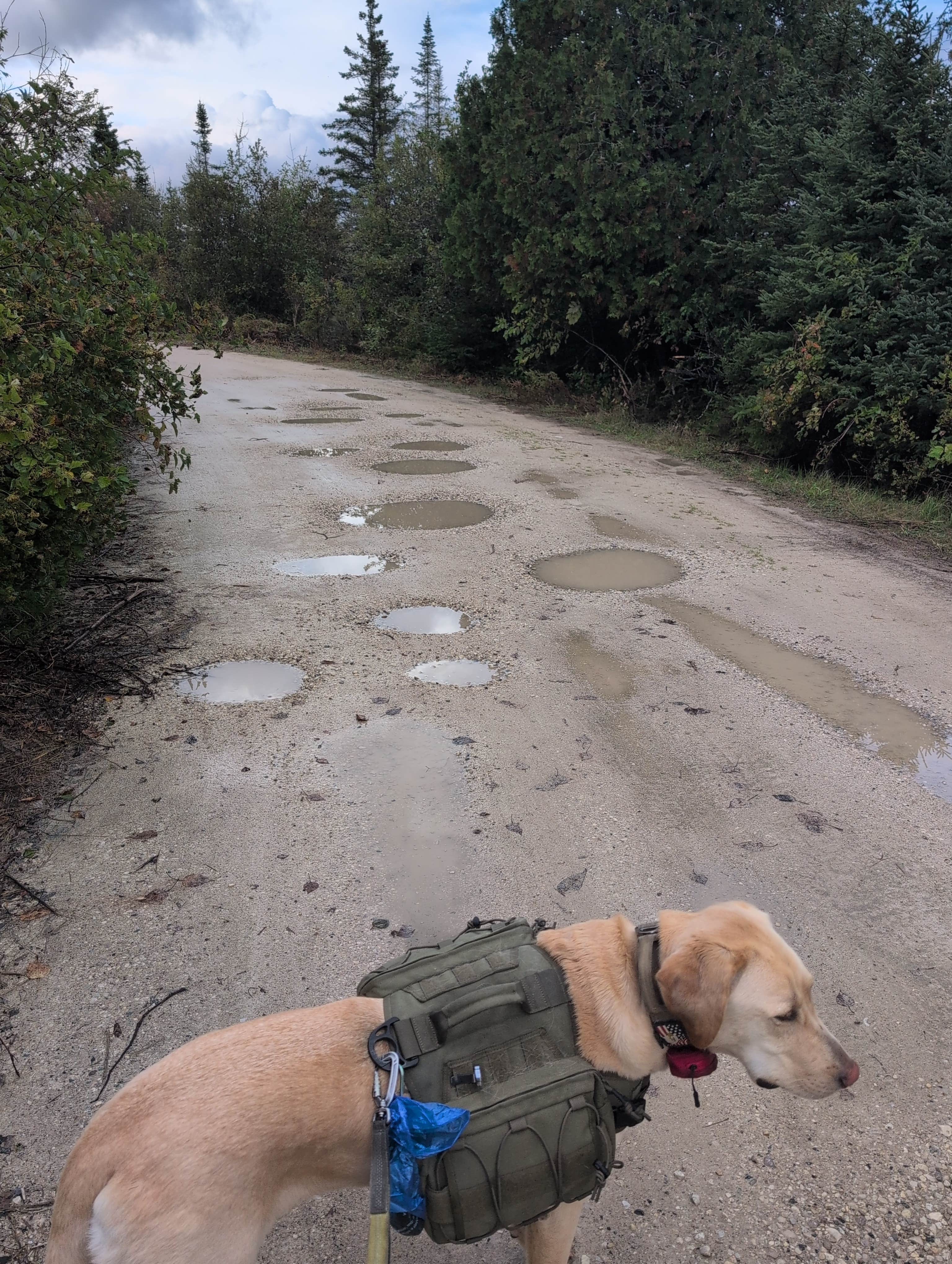 Carp River Boat Launch