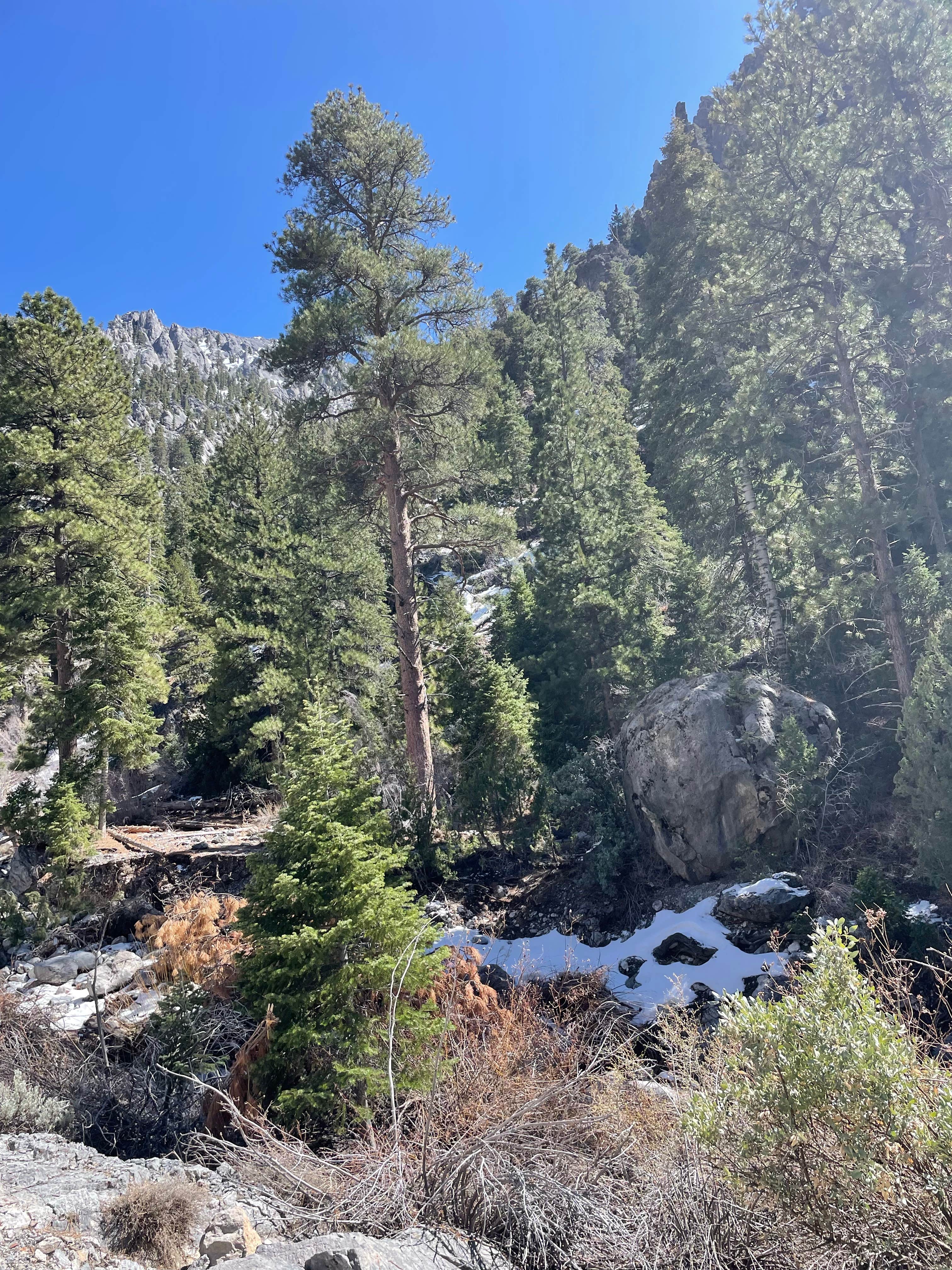 Camper submitted image from Carpenter Canyon - 4