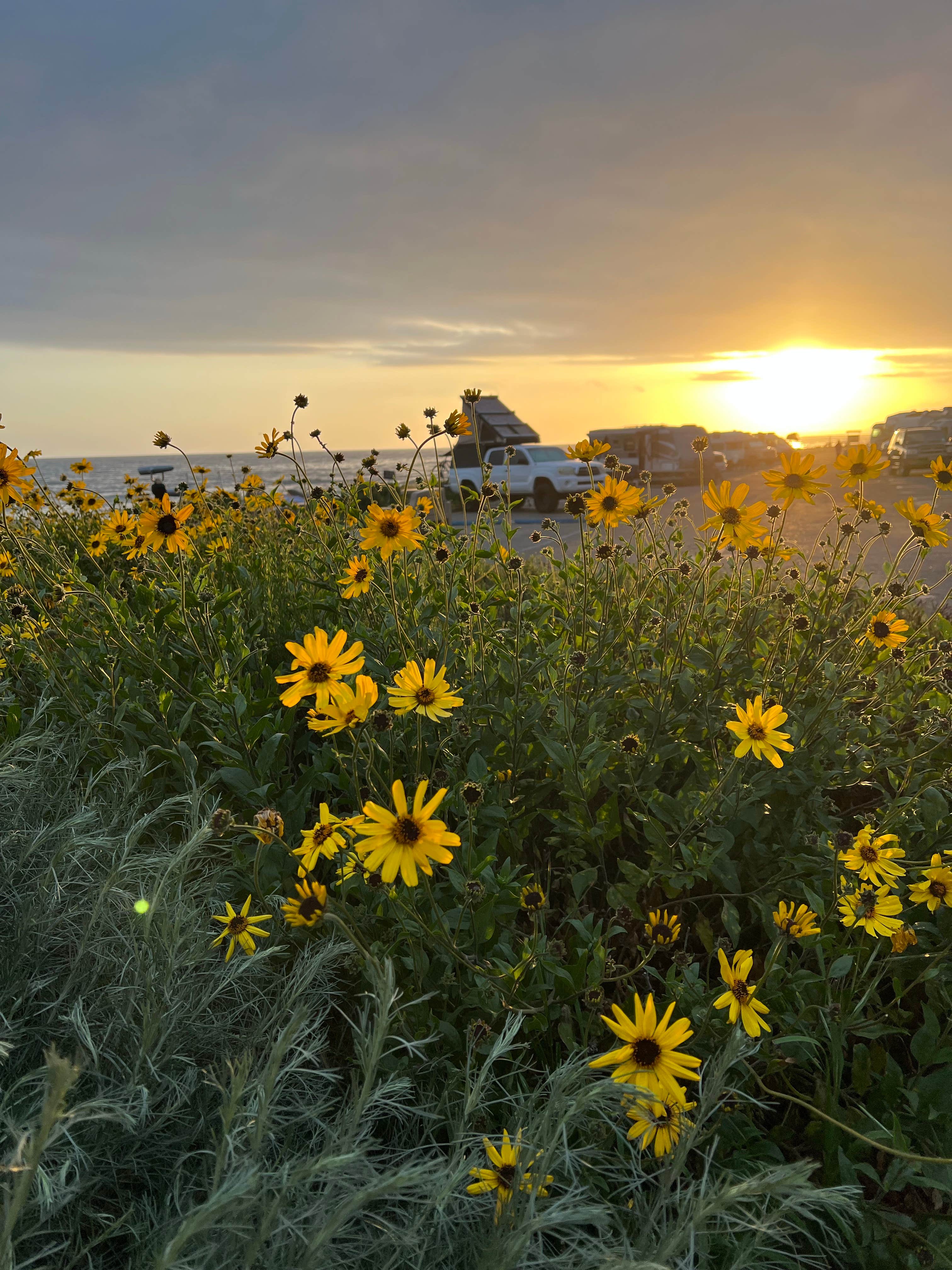 Camping near Hobson Beach Park: Carpenteria State Beach, Carpinteria, California