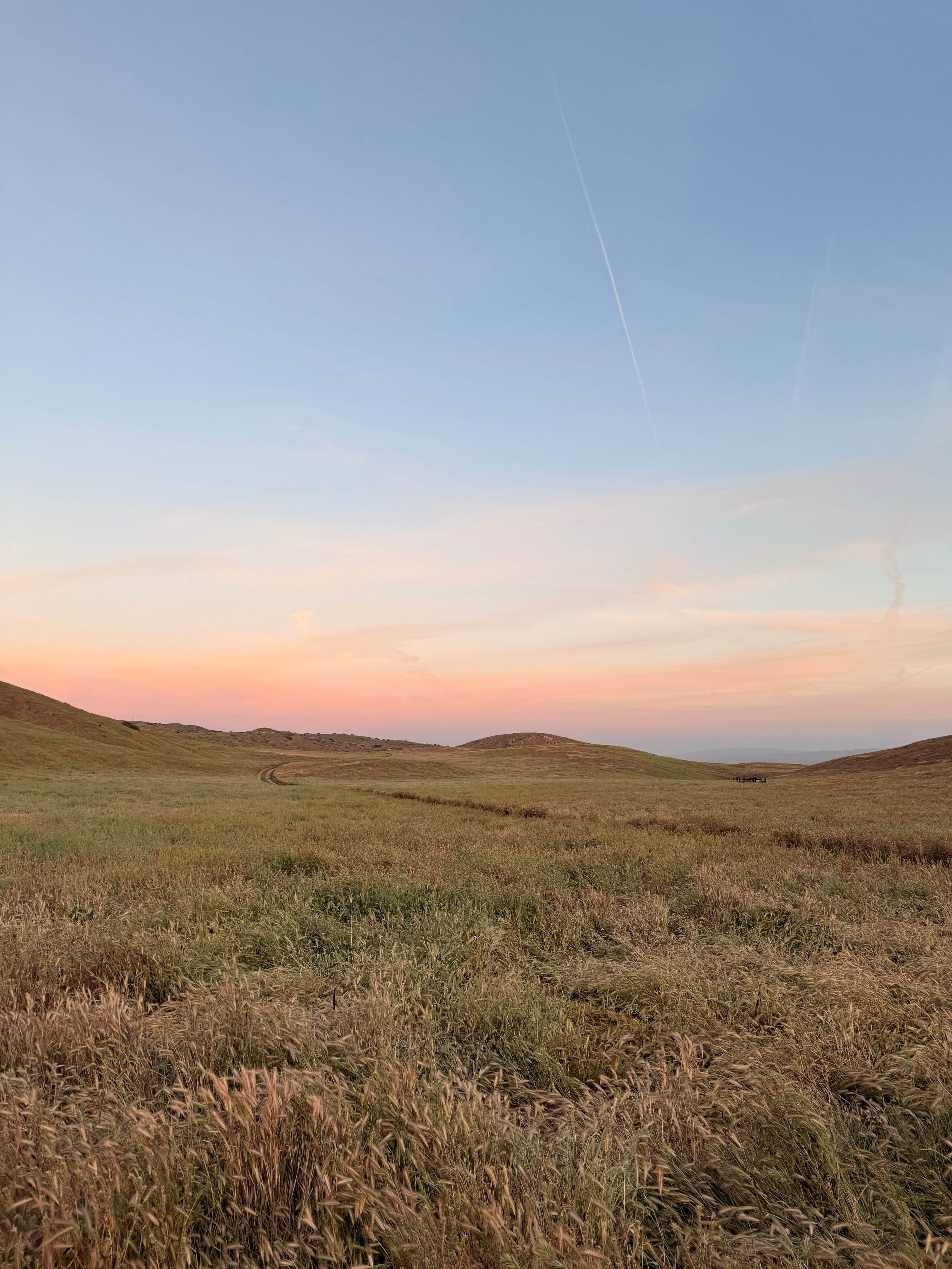 Camper-submitted photo at Carrizzo Plain National Monument Dispersed near Maricopa, CA