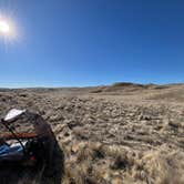 Review photo of Carrizzo Plain National Monument Dispersed by Jonathan E., June 27, 2025