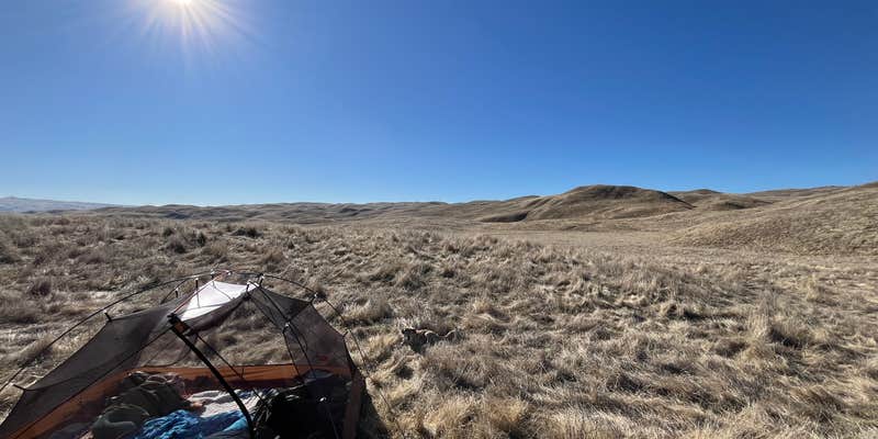 Camper submitted image from Carrizzo Plain National Monument Dispersed