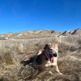 Review photo of Carrizzo Plain National Monument Dispersed by Jonathan E., June 27, 2025