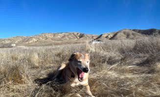 Jonathan E.'s photo of camping with pets at Carrizzo Plain National Monument Dispersed near Greenfield, CA
