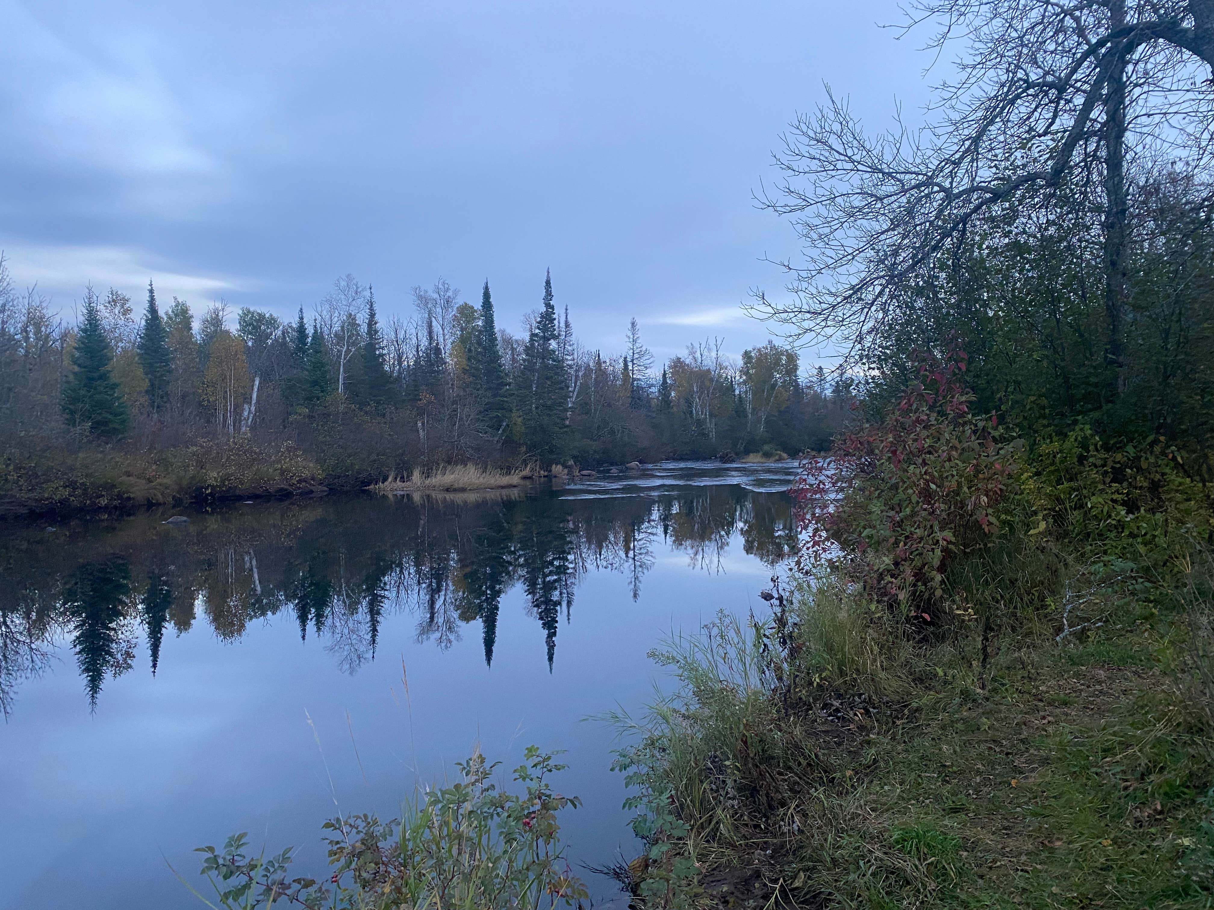 Jasmine L.'s photo of a dispersed camping area at Carrol Truck Trail near Finland, MN