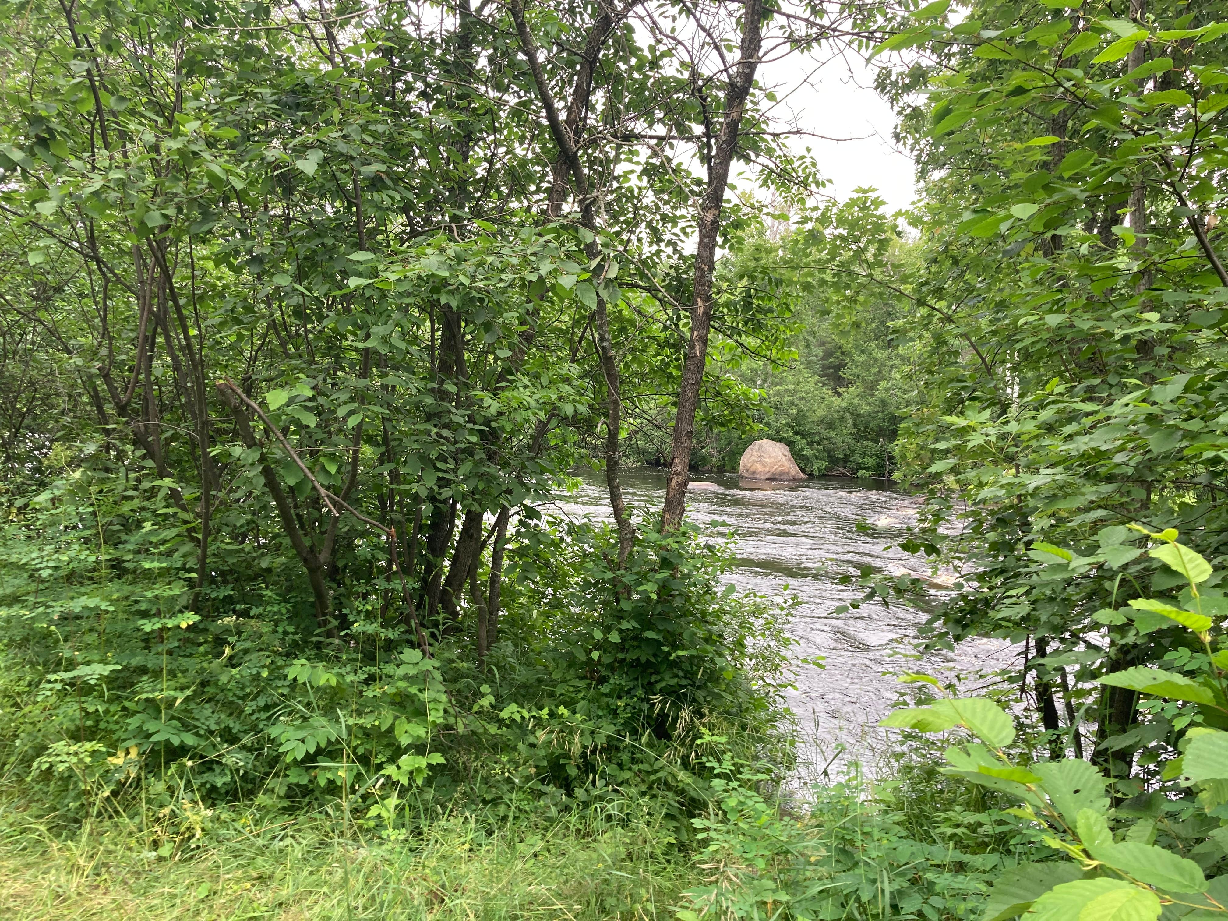 Camper-submitted photo at Carrol Truck Trail near Finland, MN