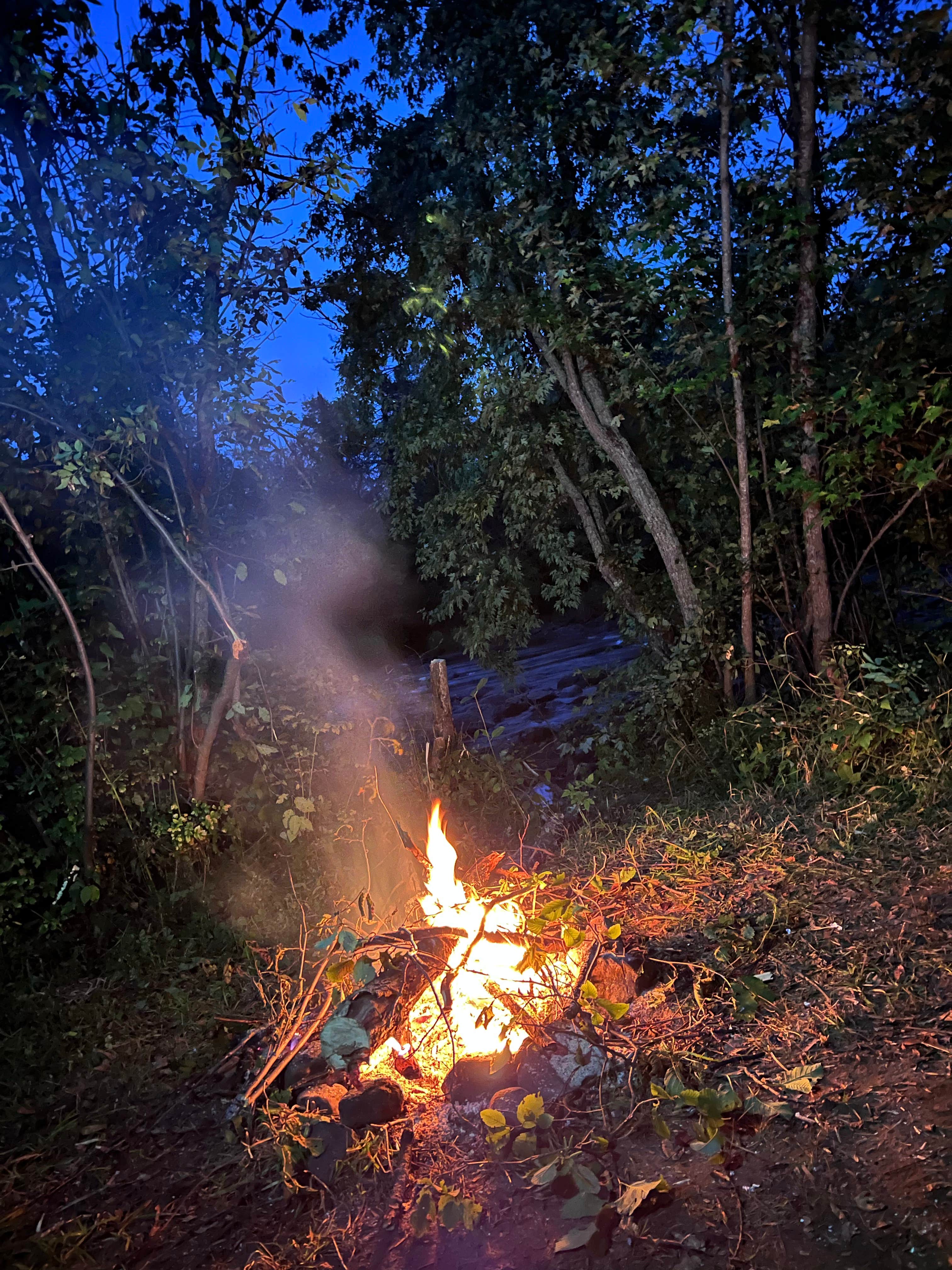 Camper-submitted photo at Carrol Truck Trail near Knife River, MN