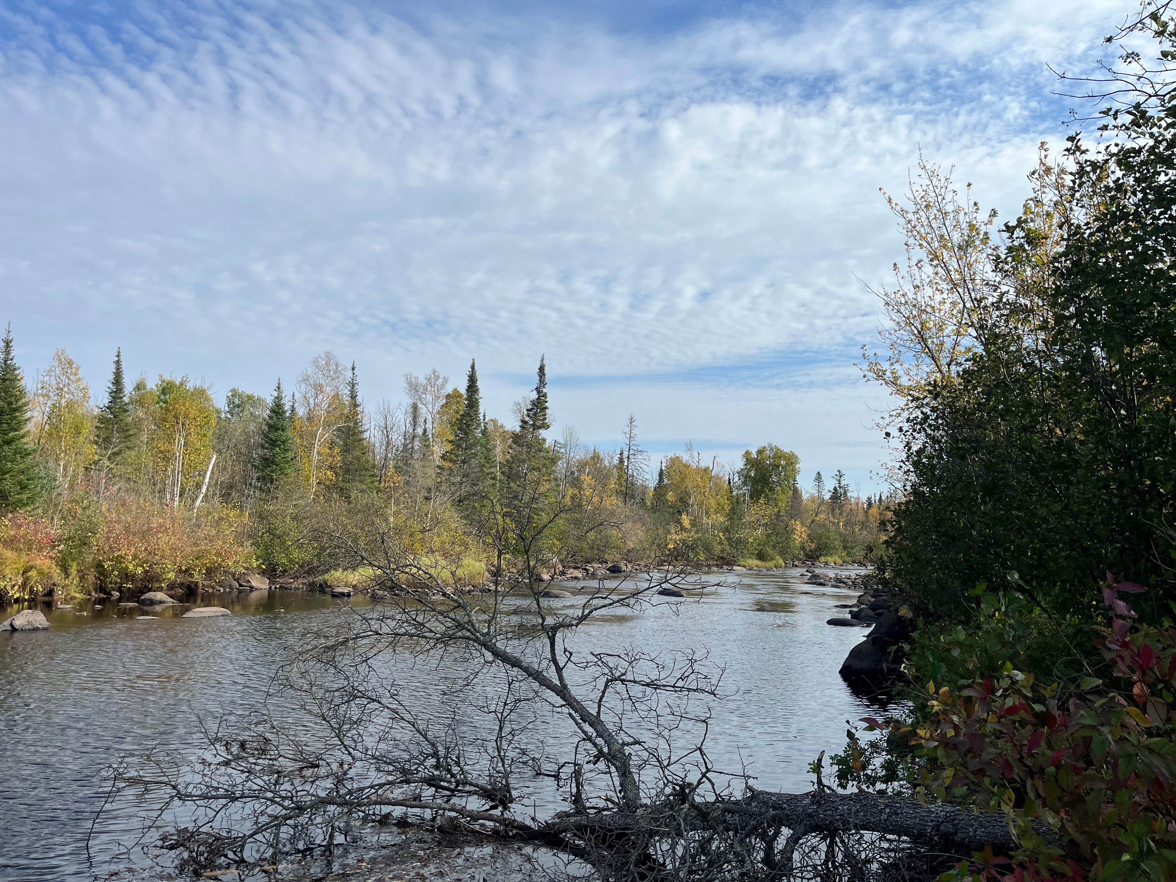 Camper-submitted photo at Carrol Truck Trail near Finland, MN
