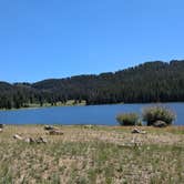 Review photo of Carson Lake Recreation Area by Greg L., August 15, 2024