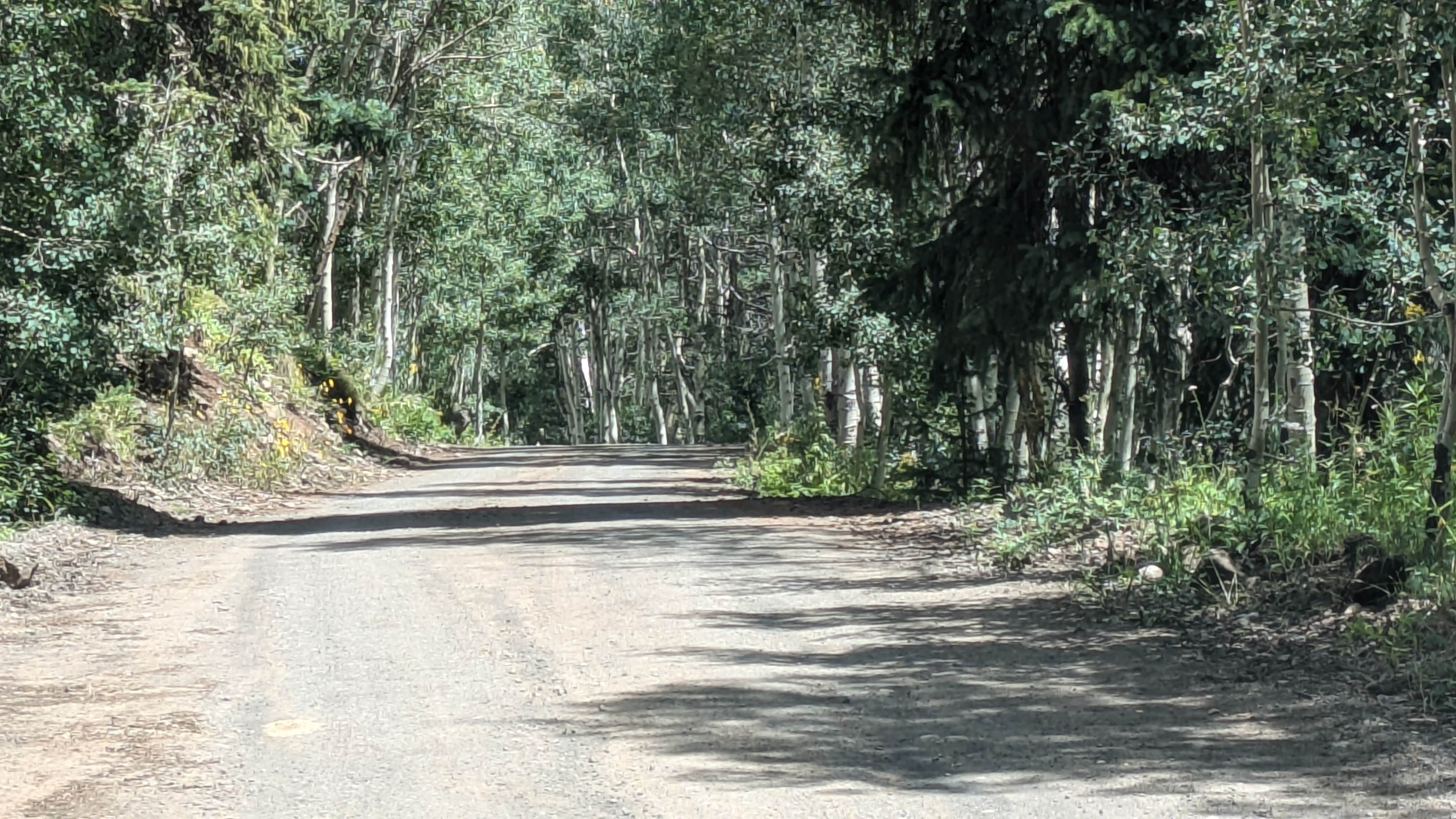 Camper submitted image from Carson Lake Recreation Area - 2