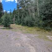 Review photo of Carson Lake Recreation Area by Greg L., August 15, 2024