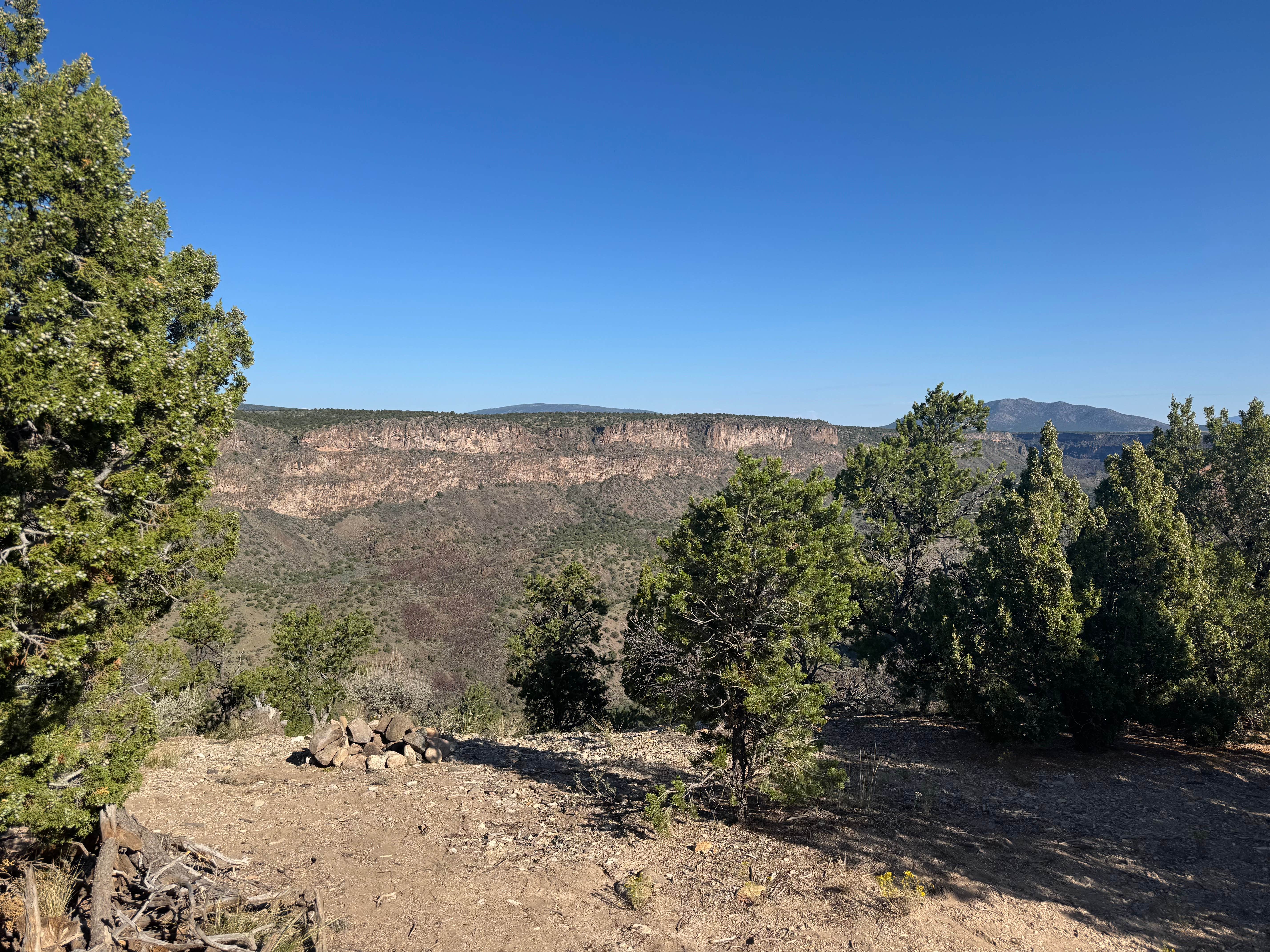 Camper submitted image from Carson national forest - 1