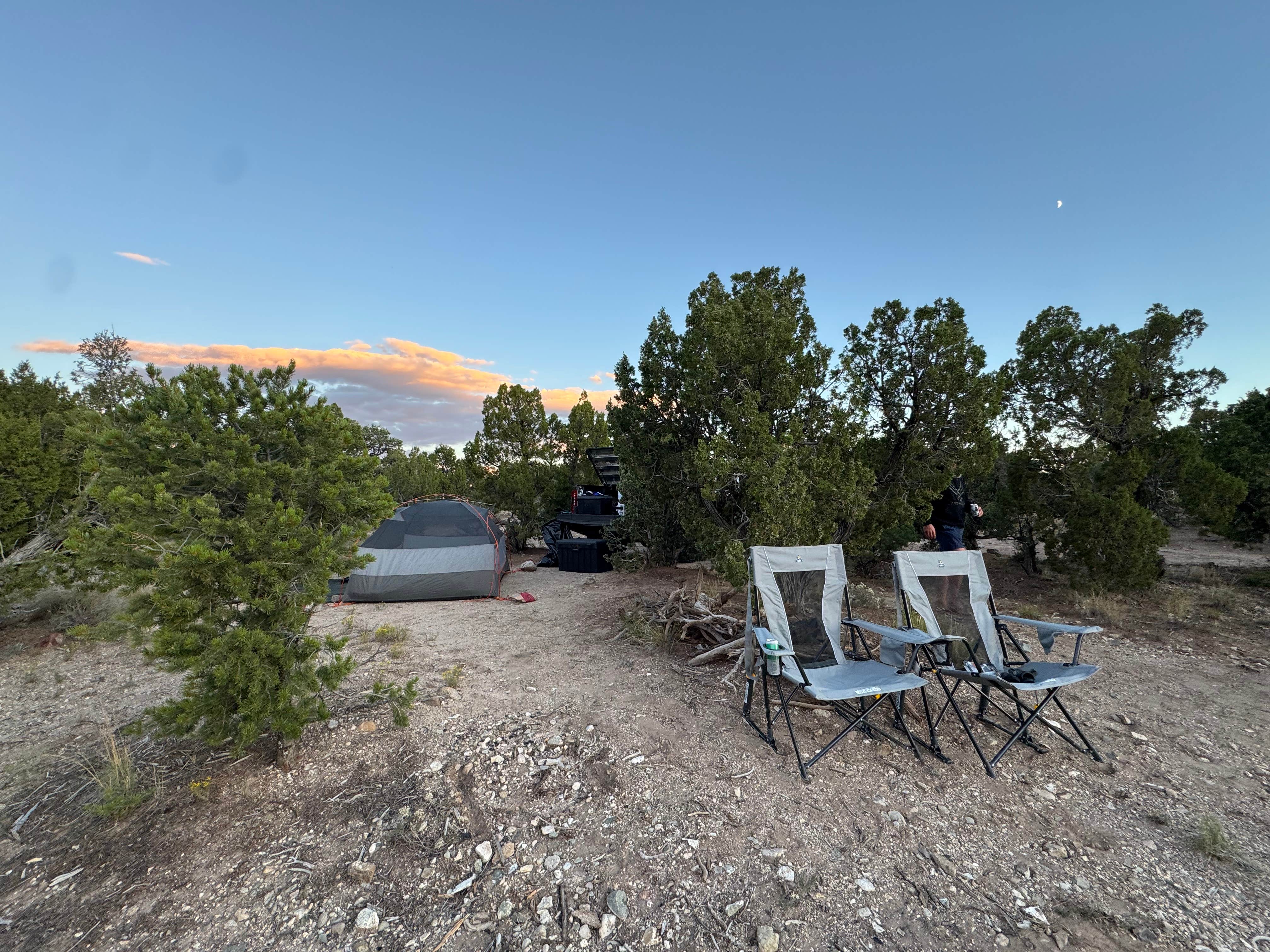 Camper submitted image from Carson national forest - 4