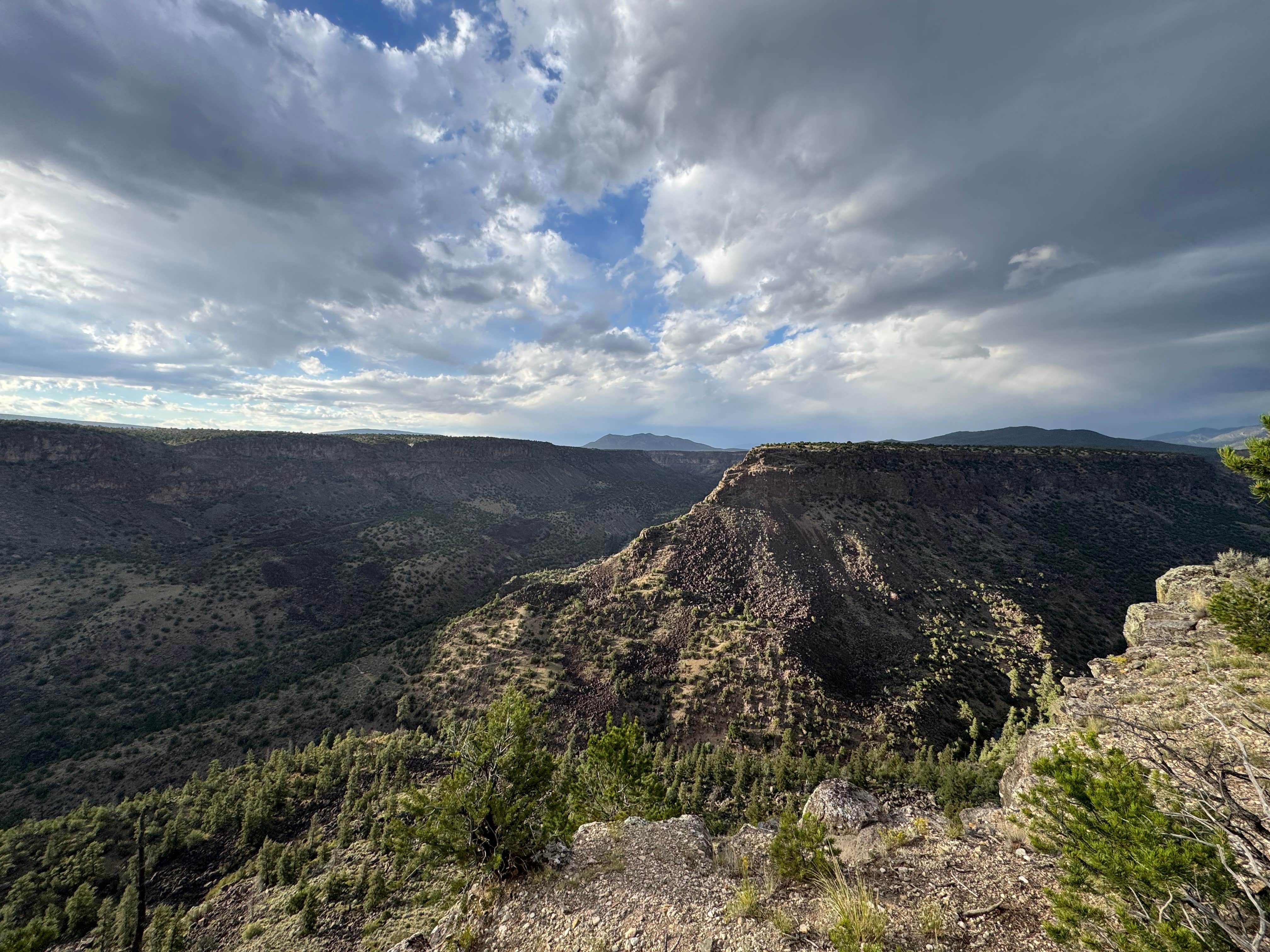 Kara C.'s photo of a dispersed camping area at Carson national forest near Carson National Forest