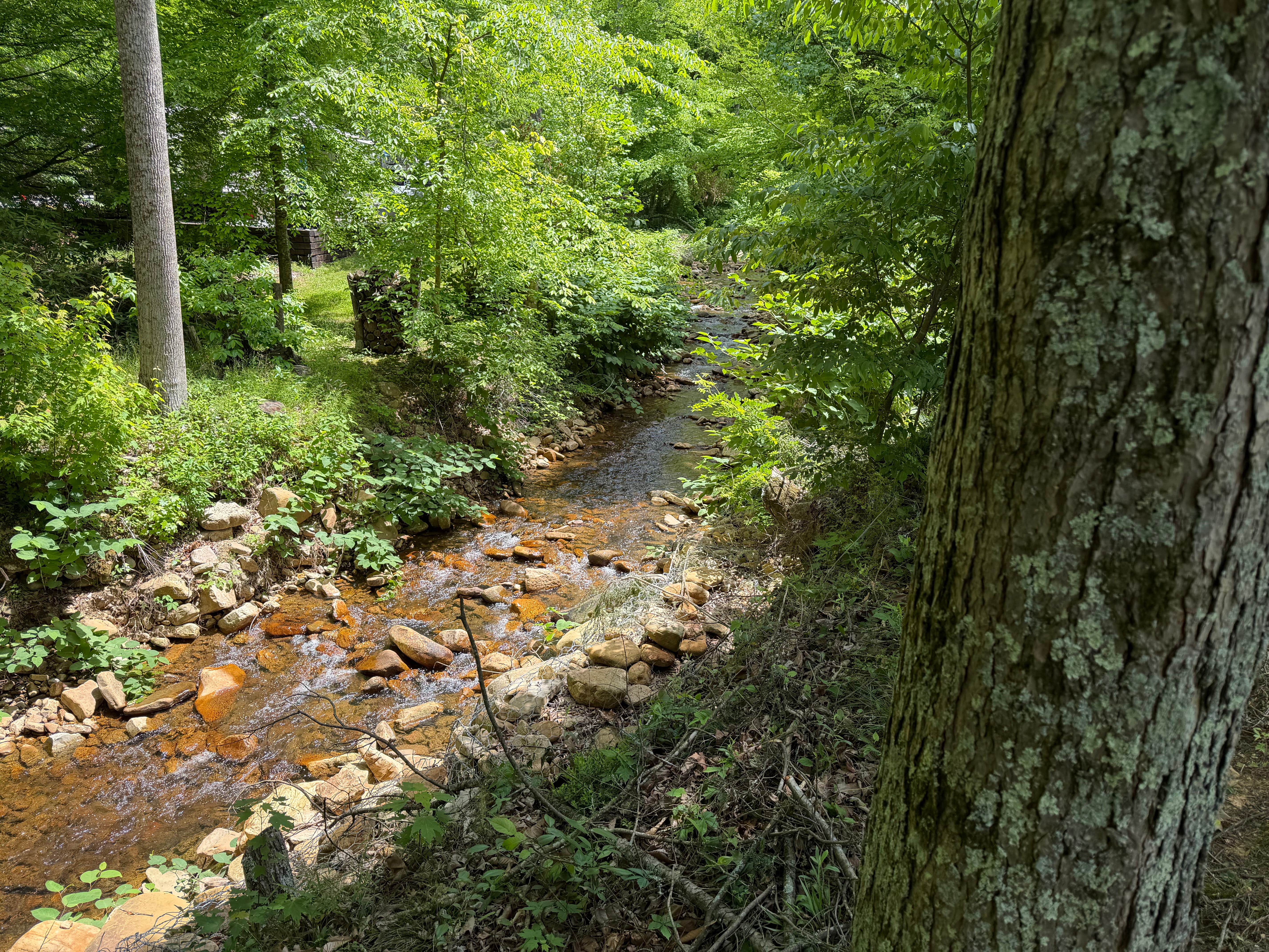 Camper-submitted photo at Carson springs mountain RV park near Del Rio, TN