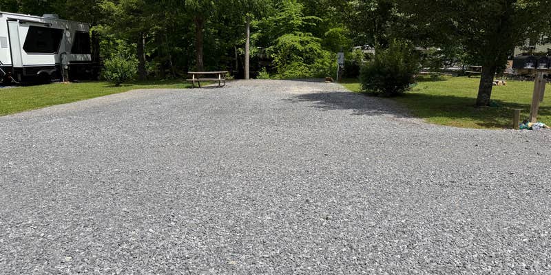 Camper submitted image from Carson springs mountain RV park