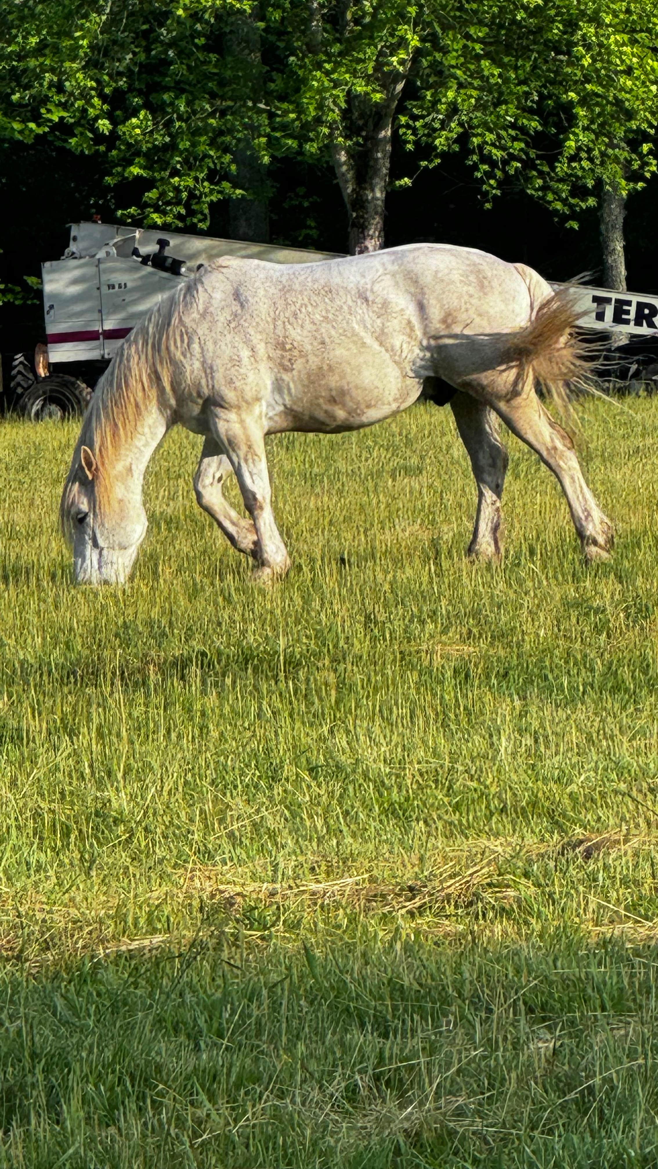 Camper-submitted photo at Cartoogechaye Creek Campground near Otto, NC