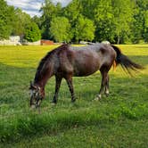 Review photo of Cartoogechaye Creek Campground by Jaimie R., June 4, 2024