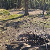 Review photo of Cascade-Chipita Park/Woodland Park by johny R., April 12, 2026