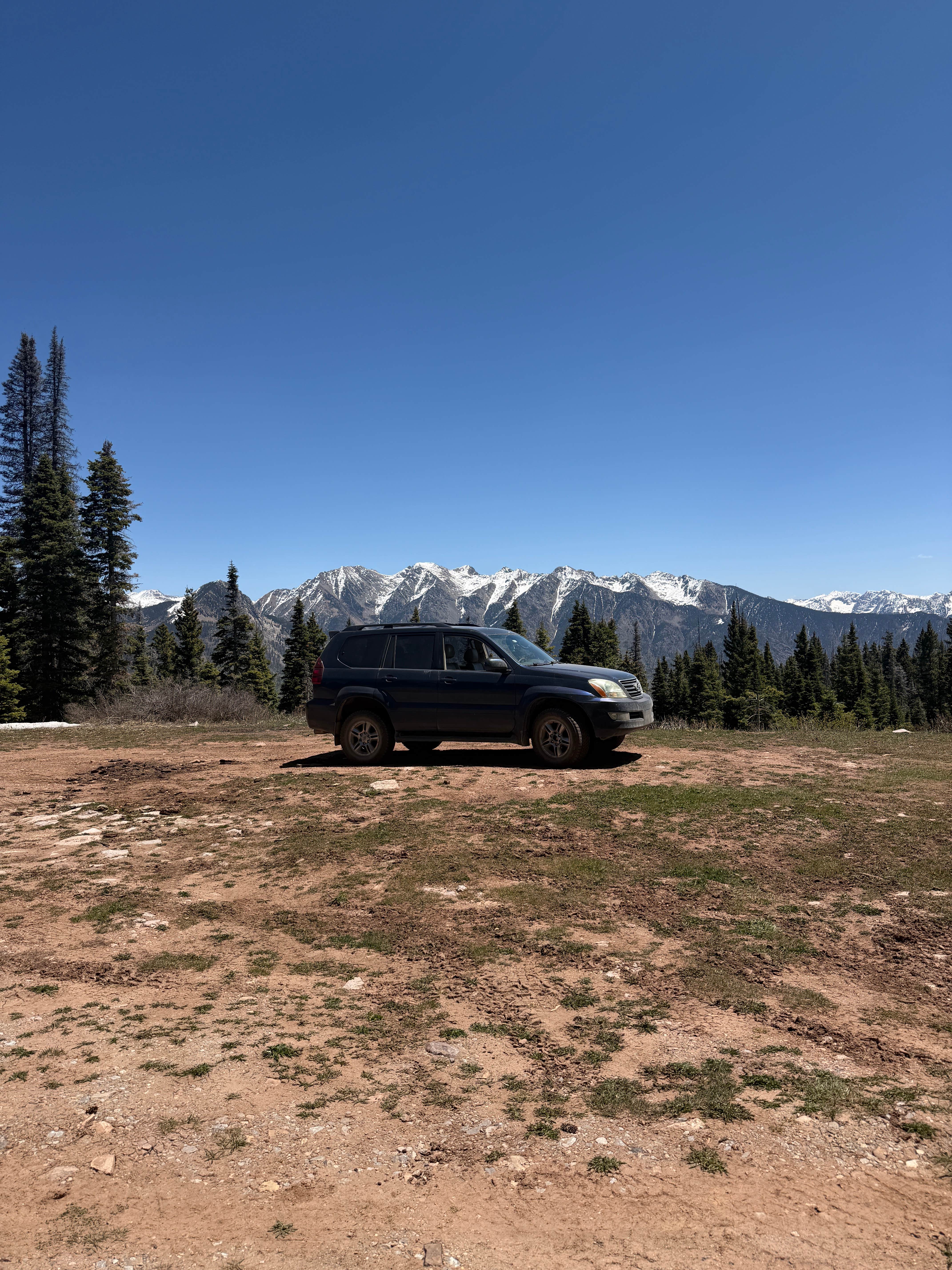Camping near Sig Creek Campground: cascade divide pull off, Cascade, Colorado