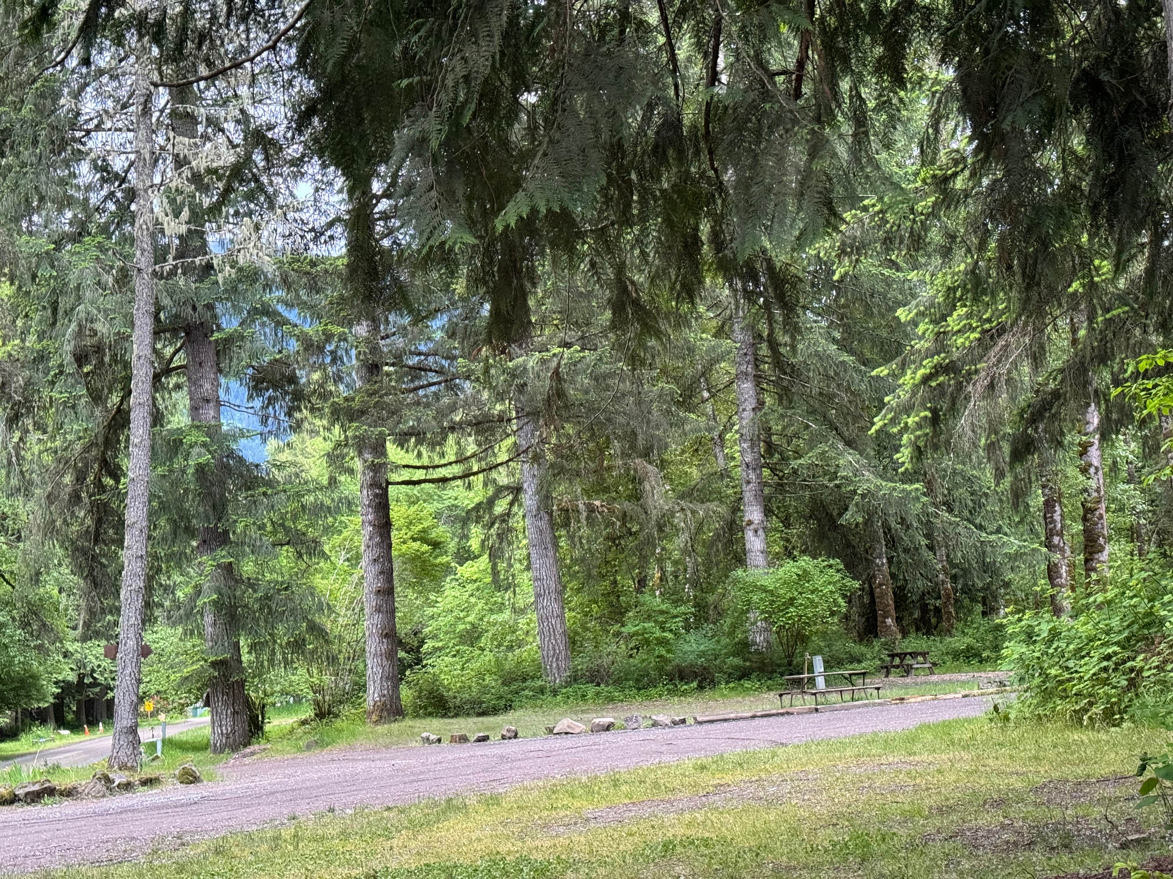 Camper-submitted photo at Cascade Peaks Family Campground near White Pass, WA