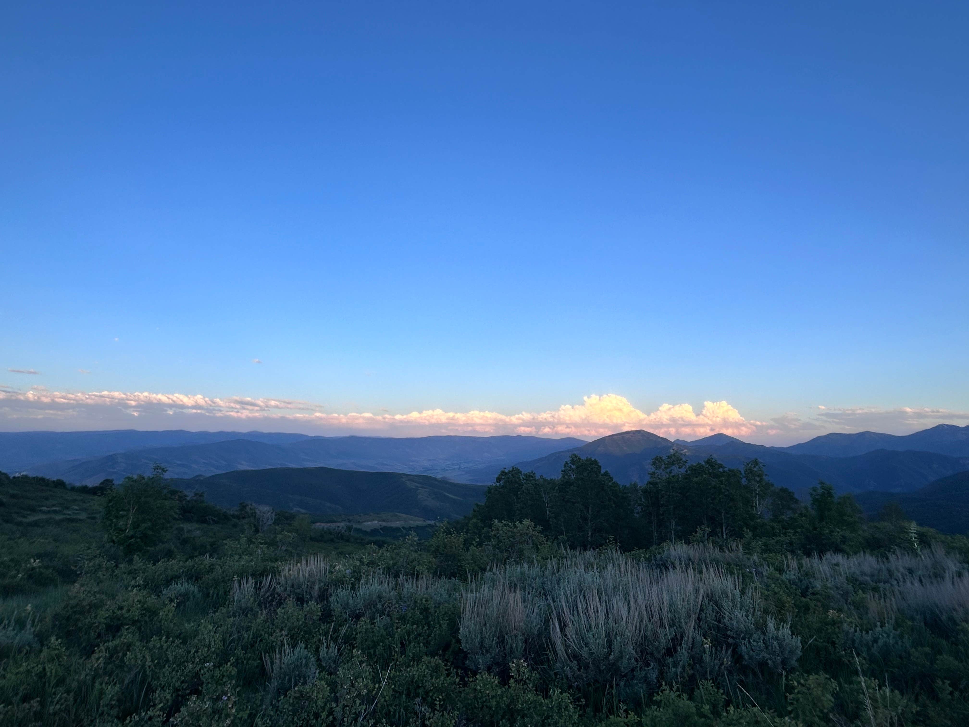 Lilly A.'s photo of a dispersed camping area at Cascade Springs Dispersed Site near Murray, UT