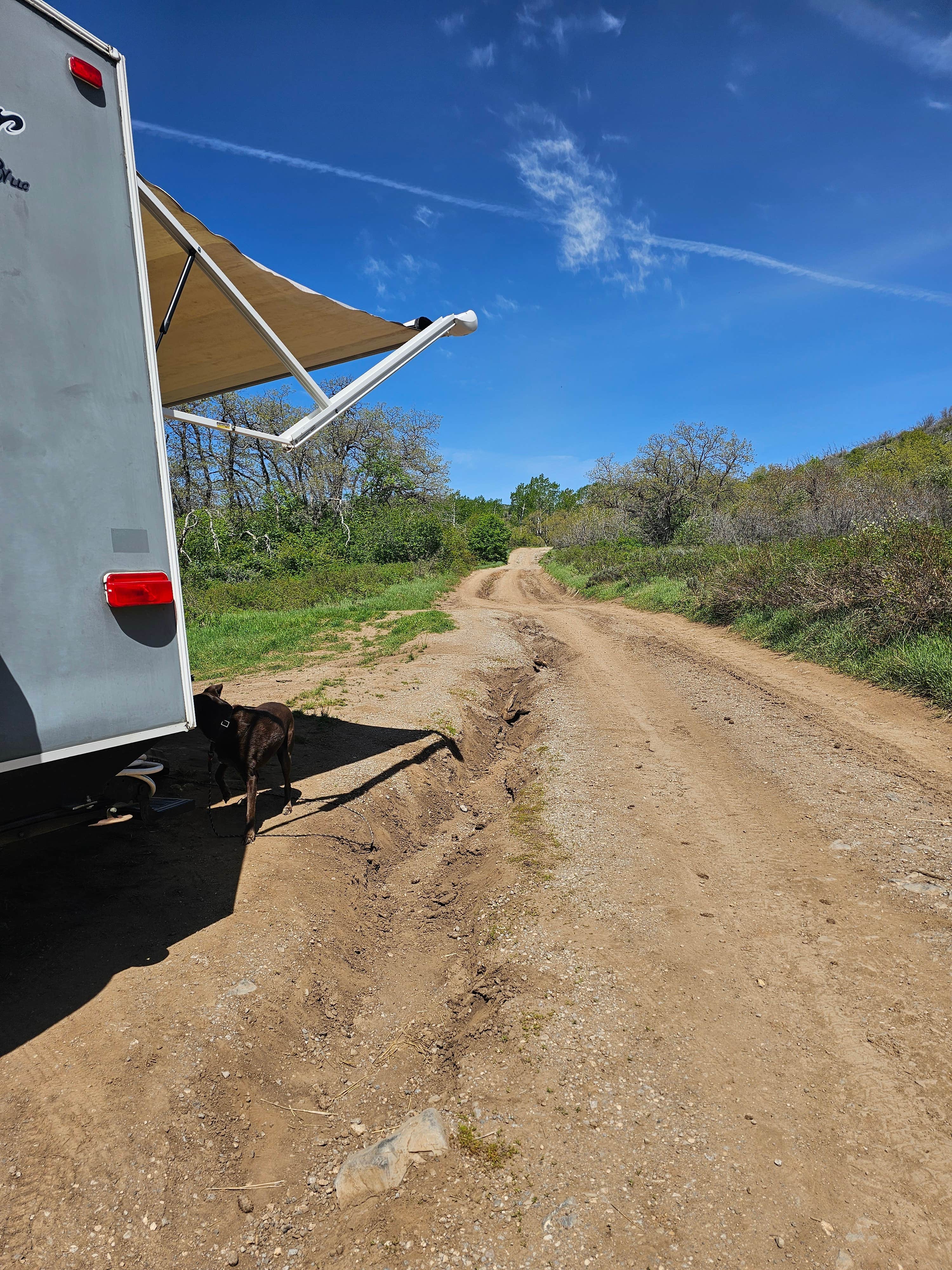 Sherezade F.'s photo of camping with pets at Cascade Springs Dispersed Site near South Salt Lake, UT